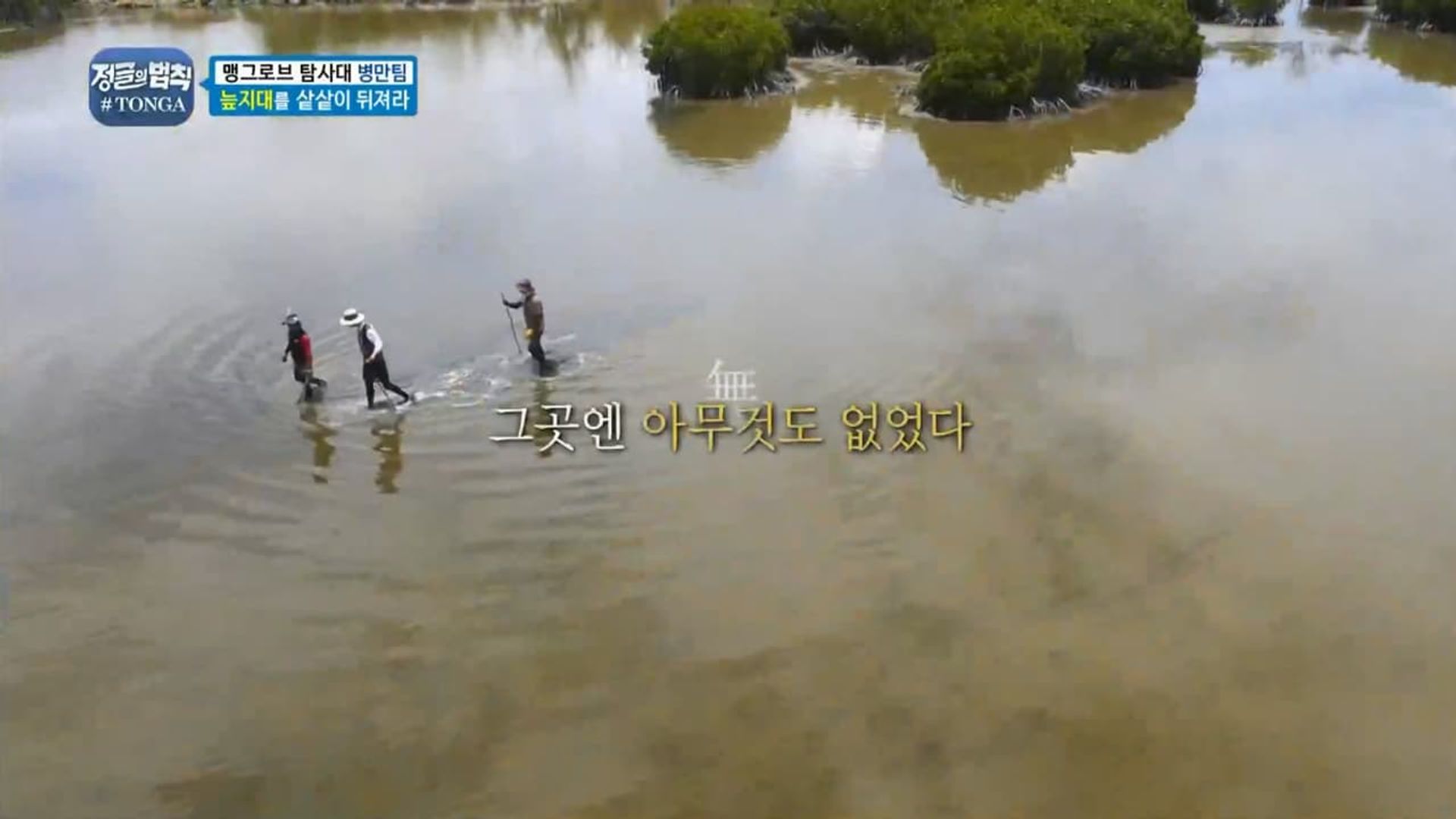 Law of the Jungle background