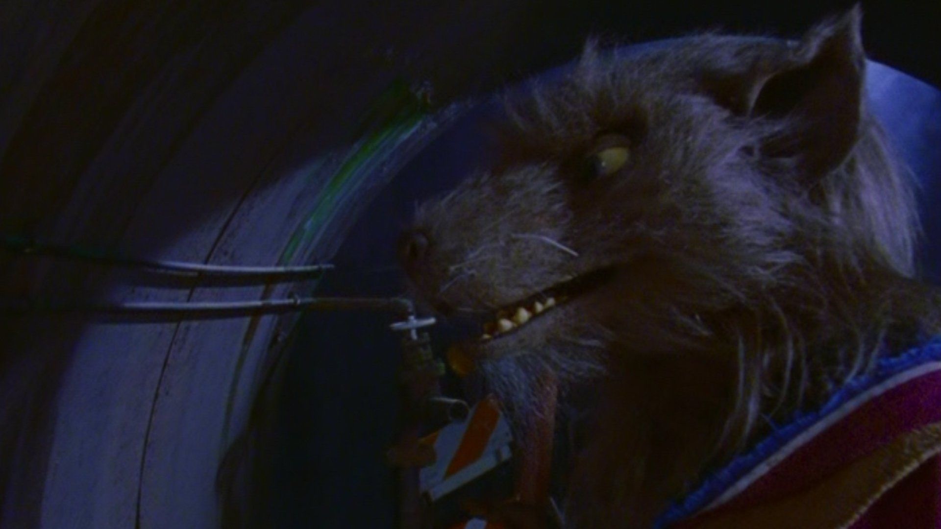 Ninja Turtles: The Next Mutation background
