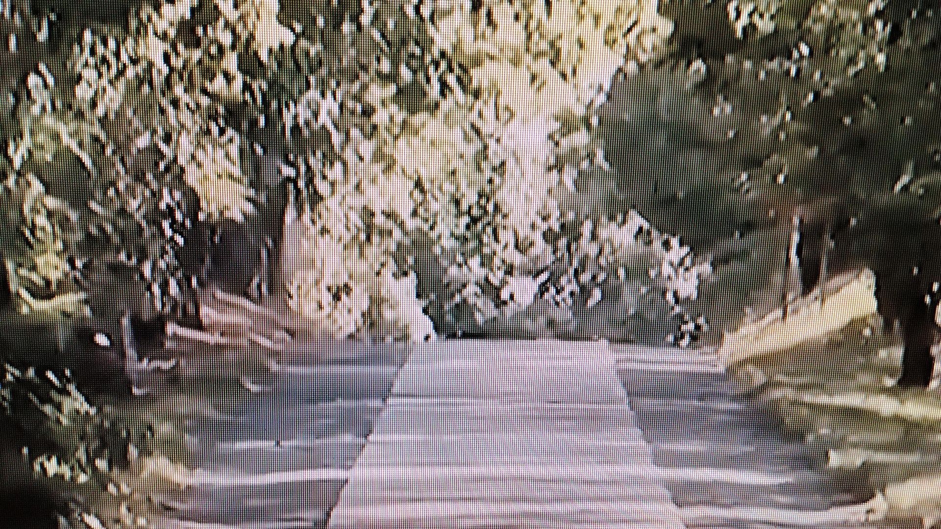 Get Out background