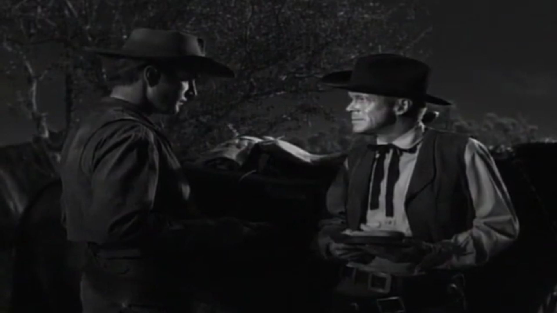Rawhide background