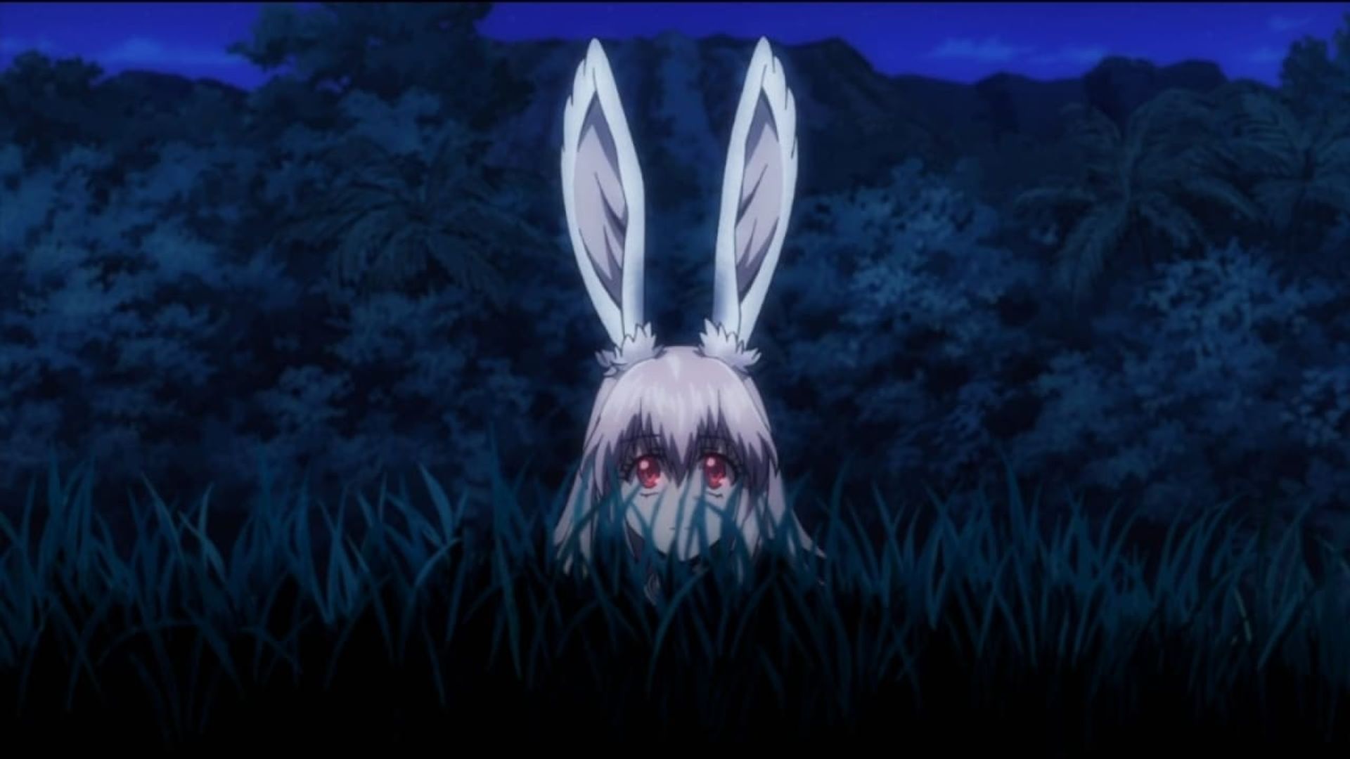Killing Bites background