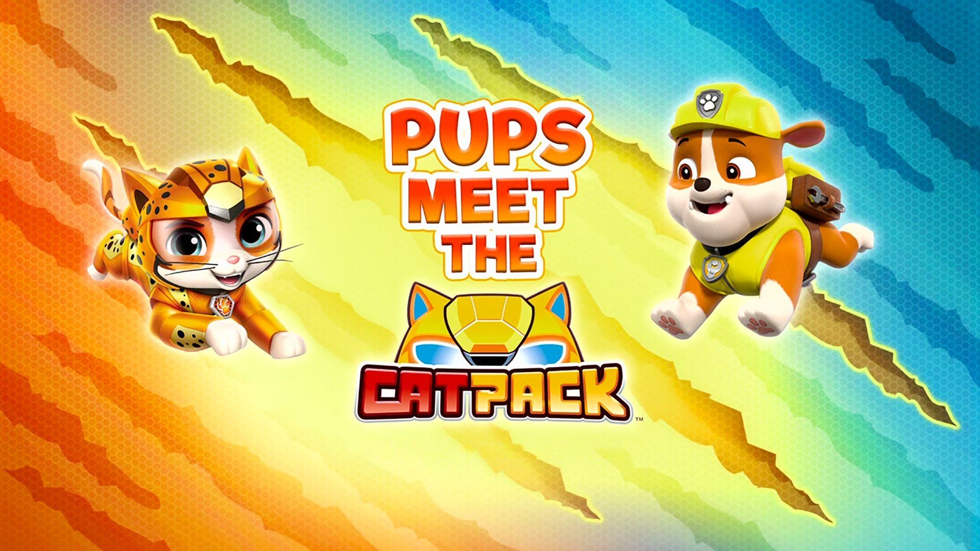 PAW Patrol background
