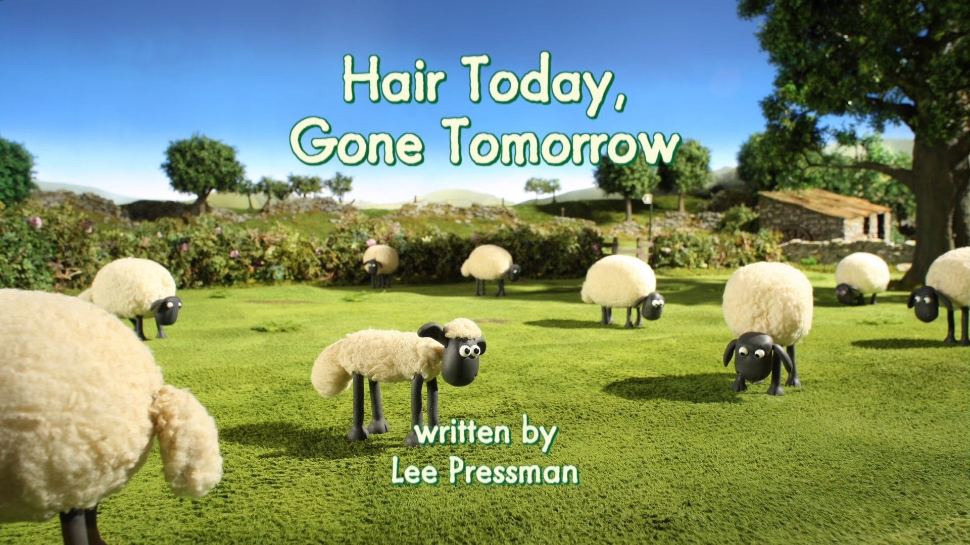 Shaun the Sheep background