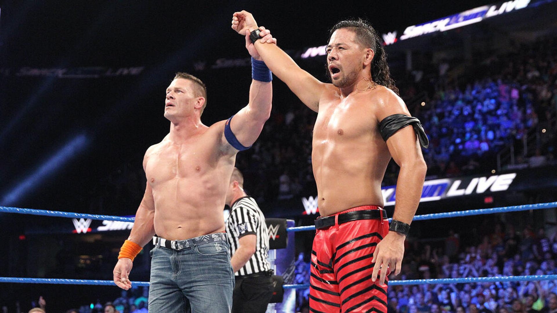 World Wrestling Federation Smackdown! background