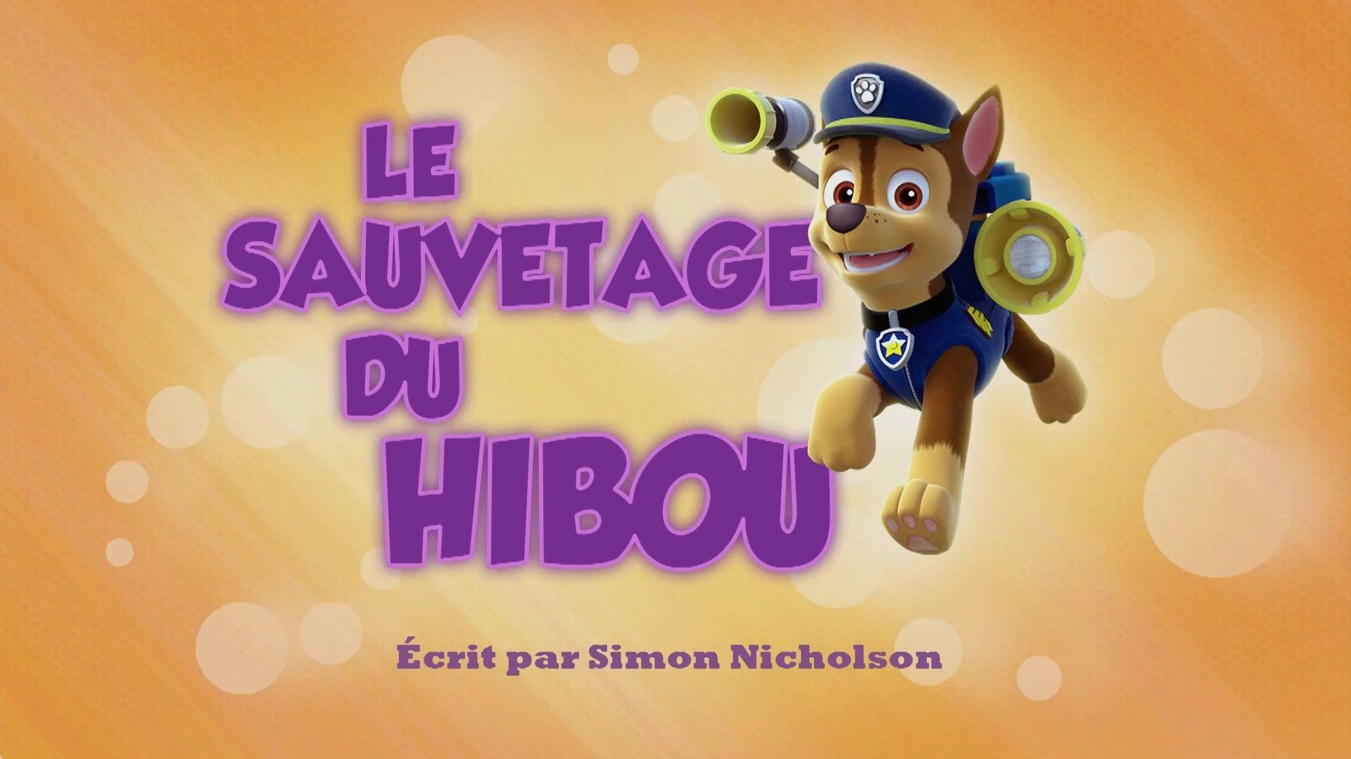 PAW Patrol background