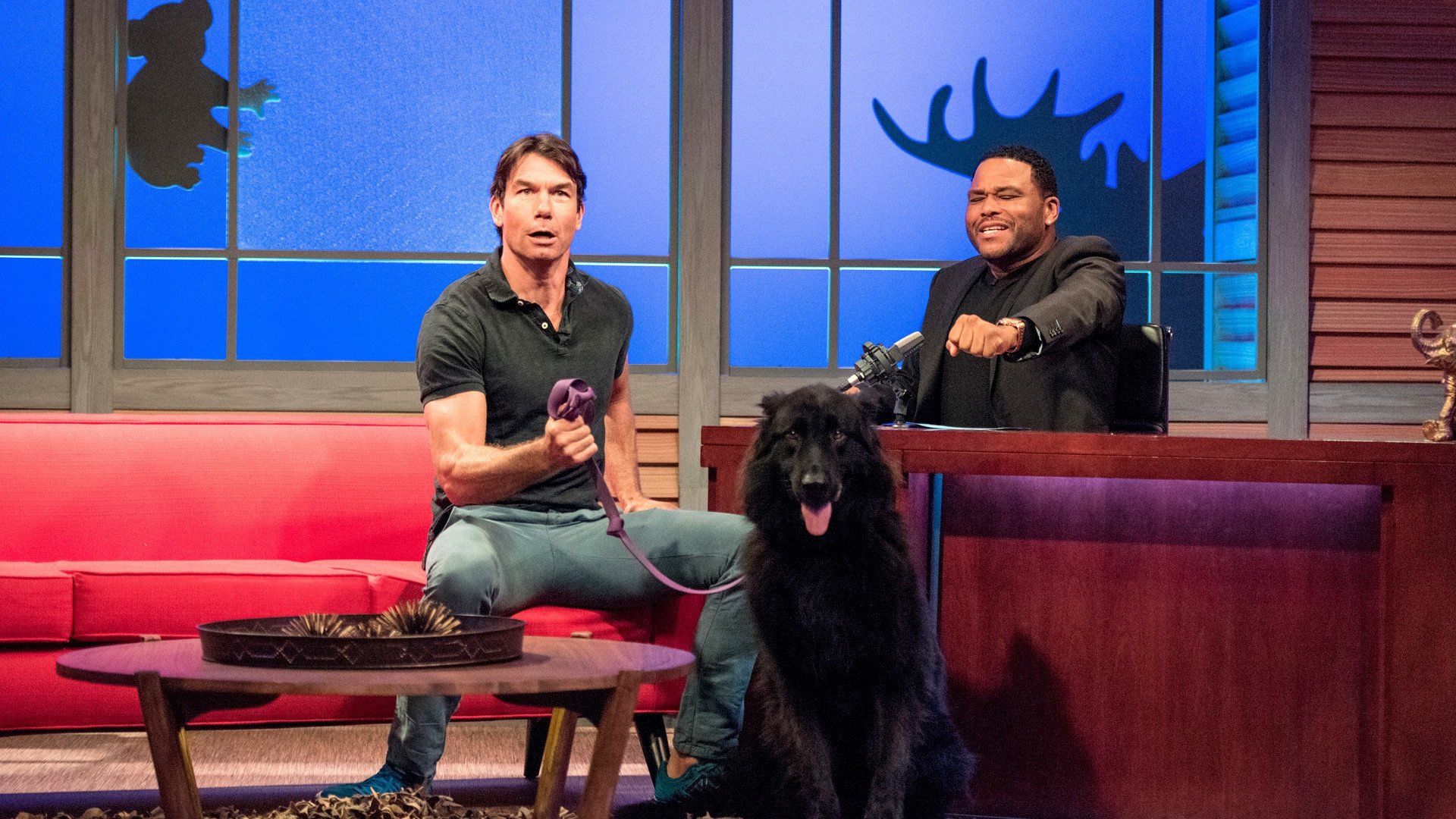 Animal Nation with Anthony Anderson background