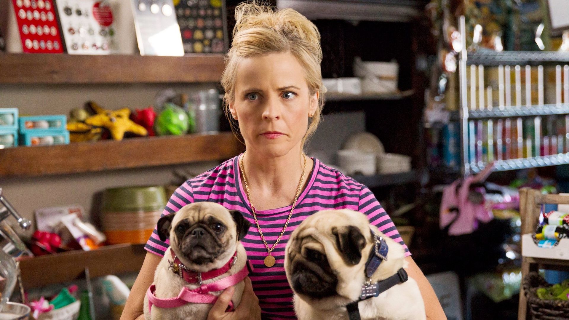 Lady Dynamite background