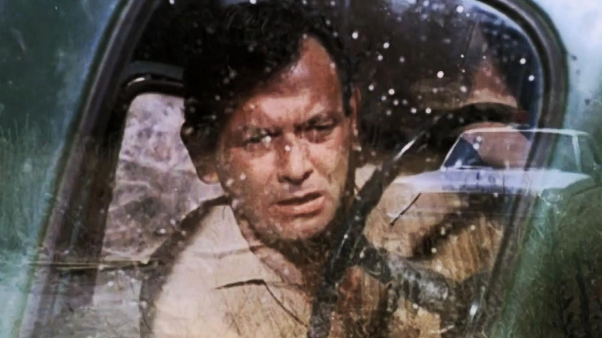 The Fugitive background