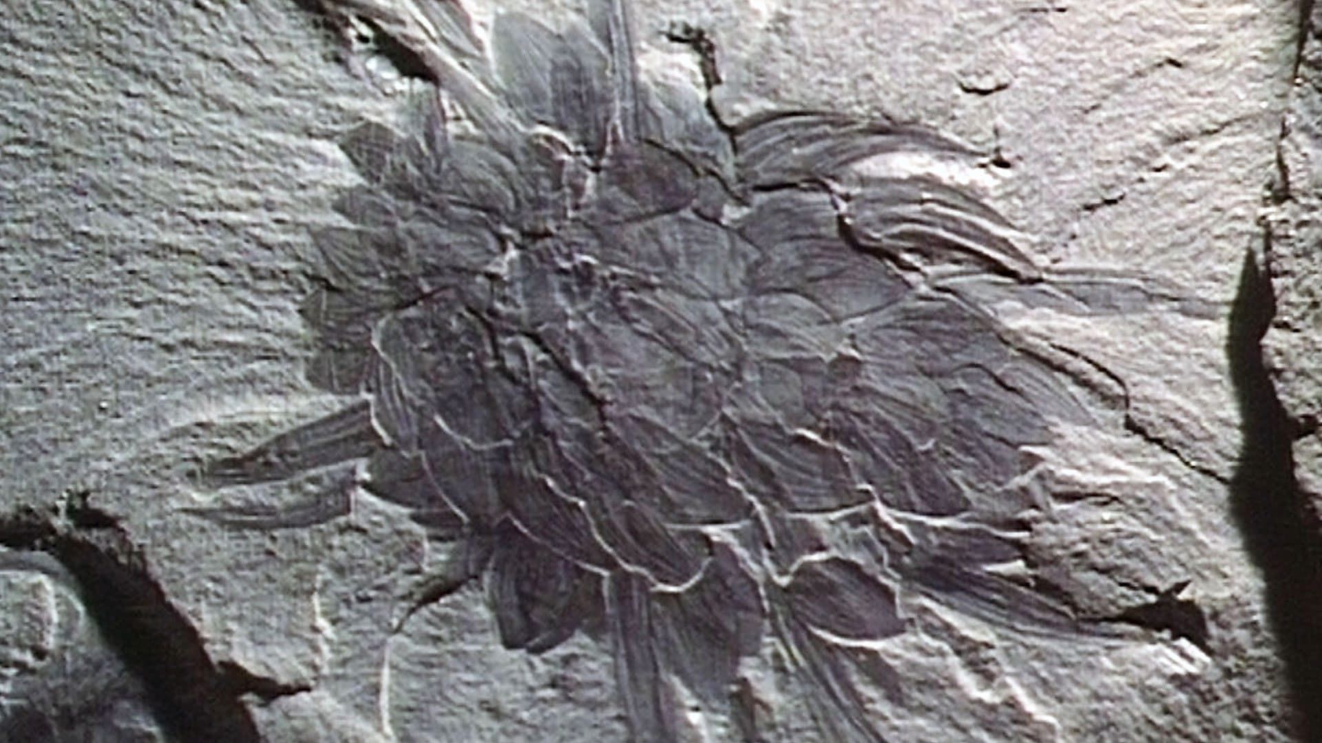 Lost Worlds, Vanished Lives background