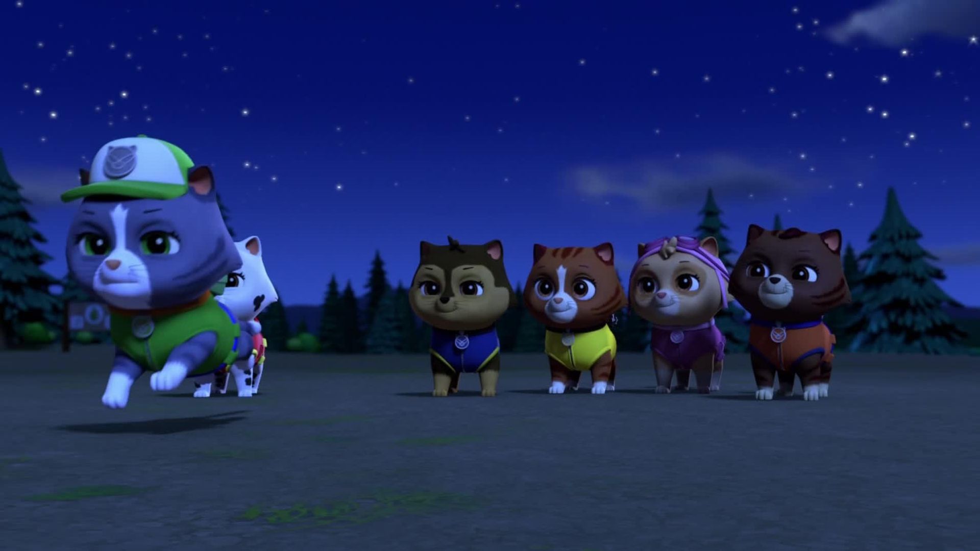 PAW Patrol background