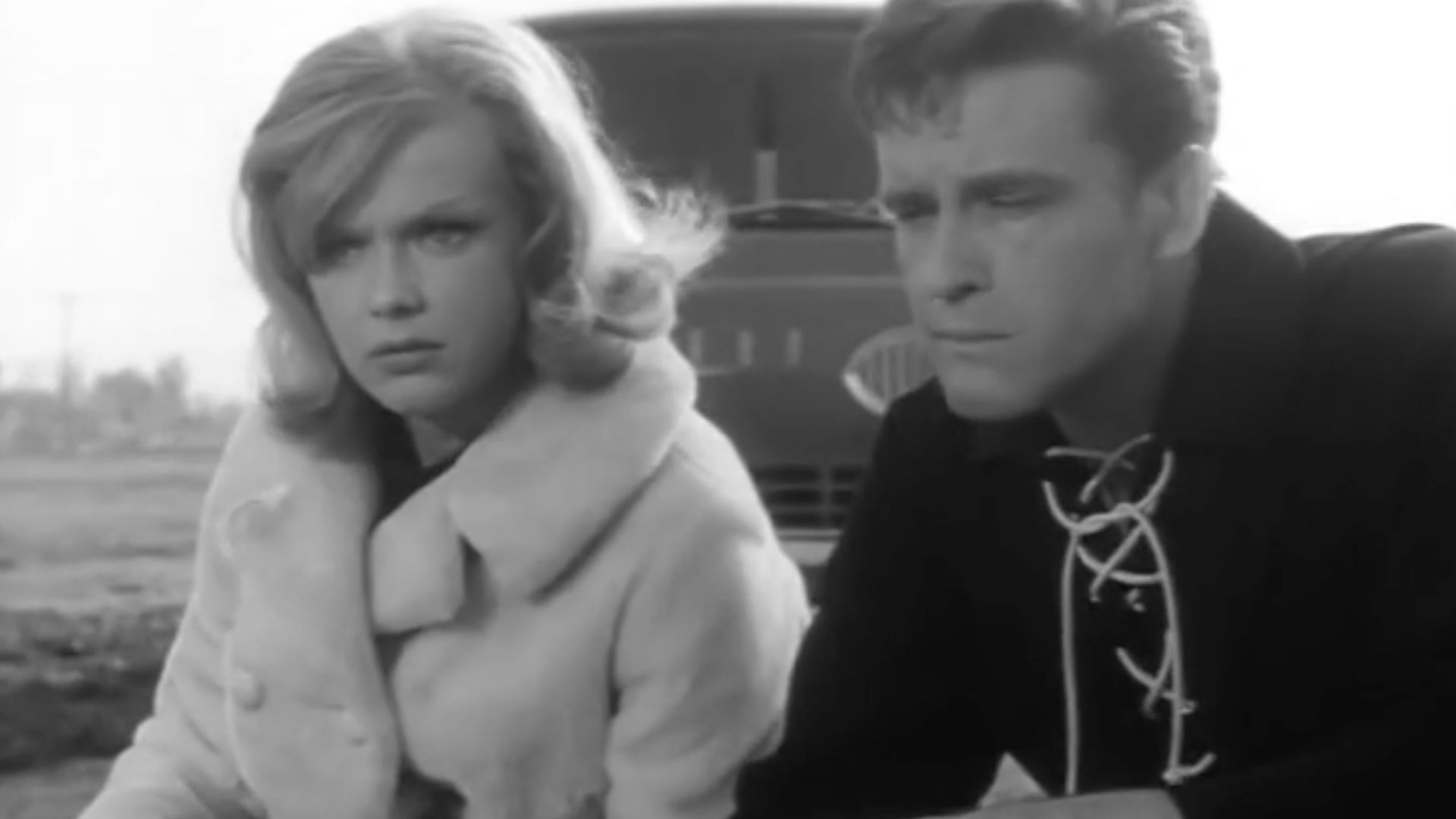 Honey West background
