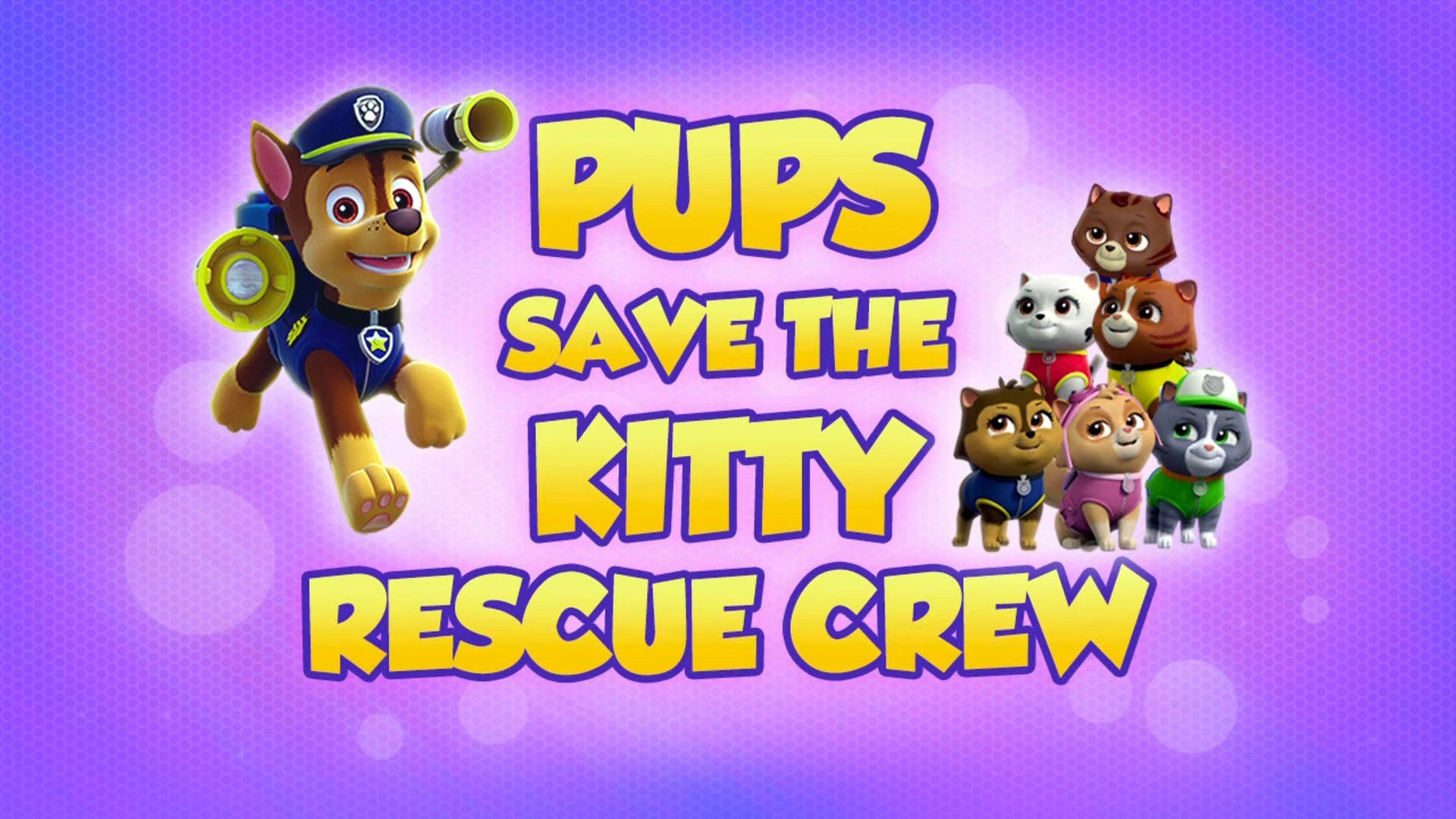 PAW Patrol background