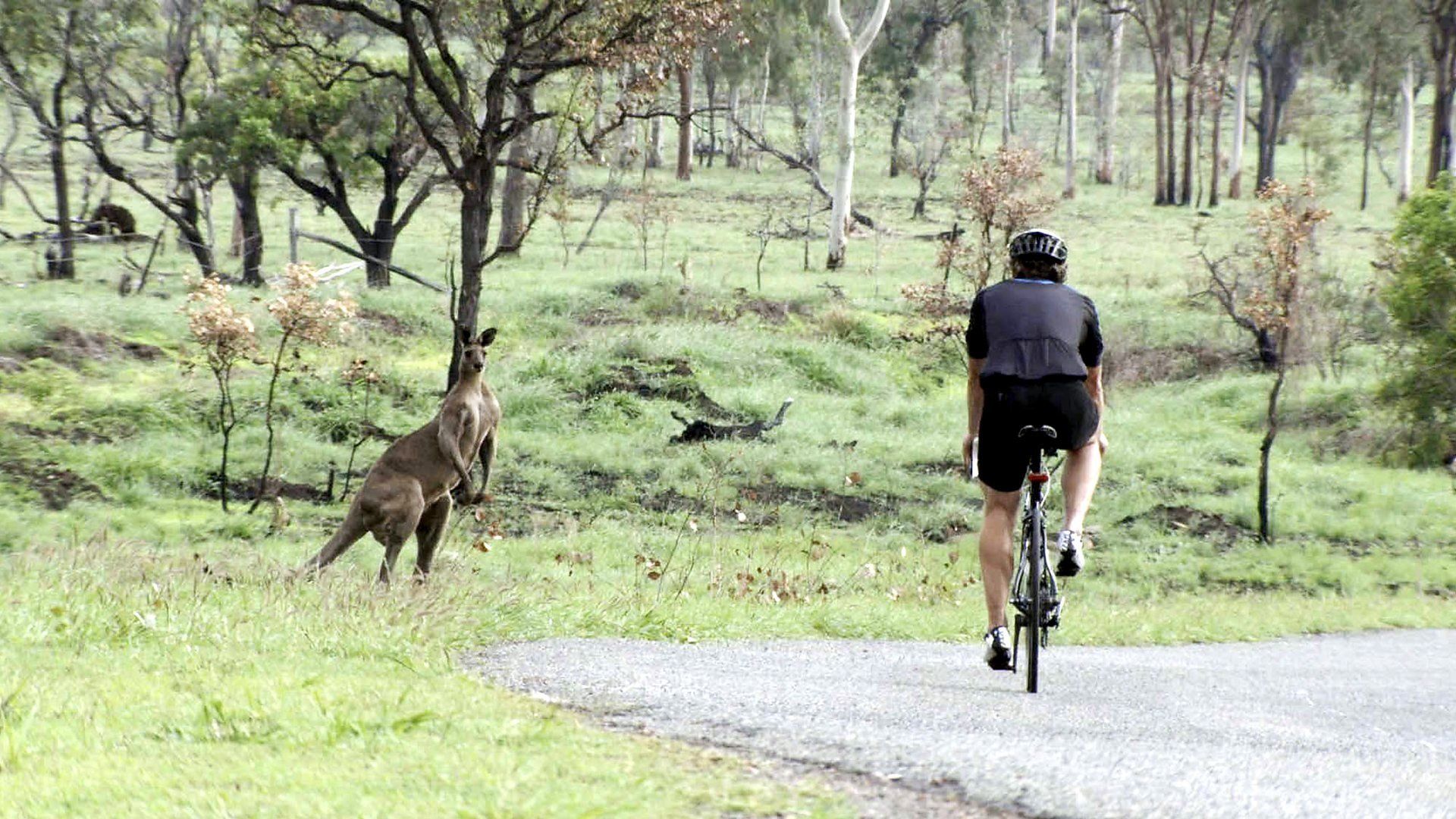John Bishop's Australia background