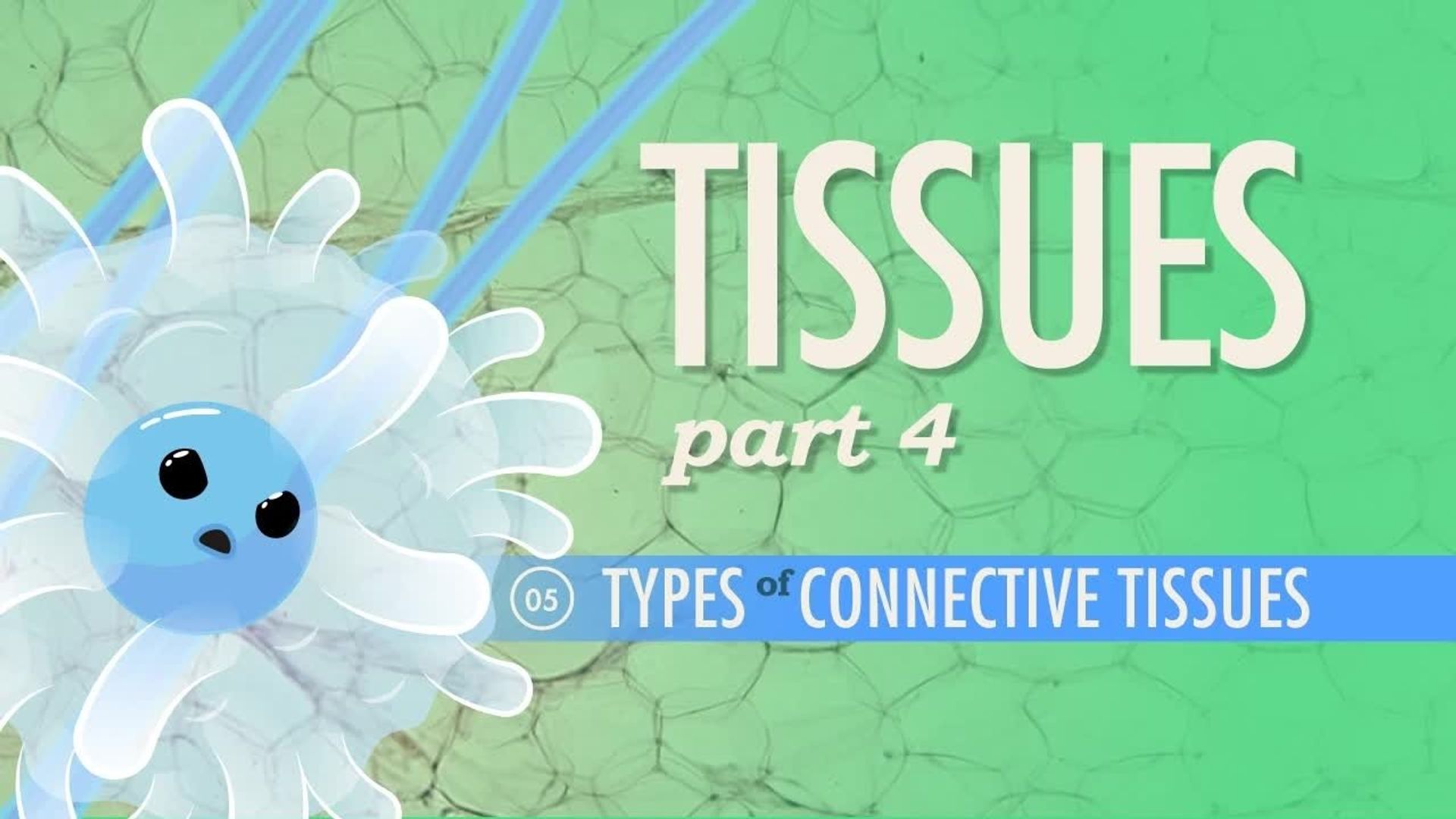 Crash Course: Anatomy & Physiology background