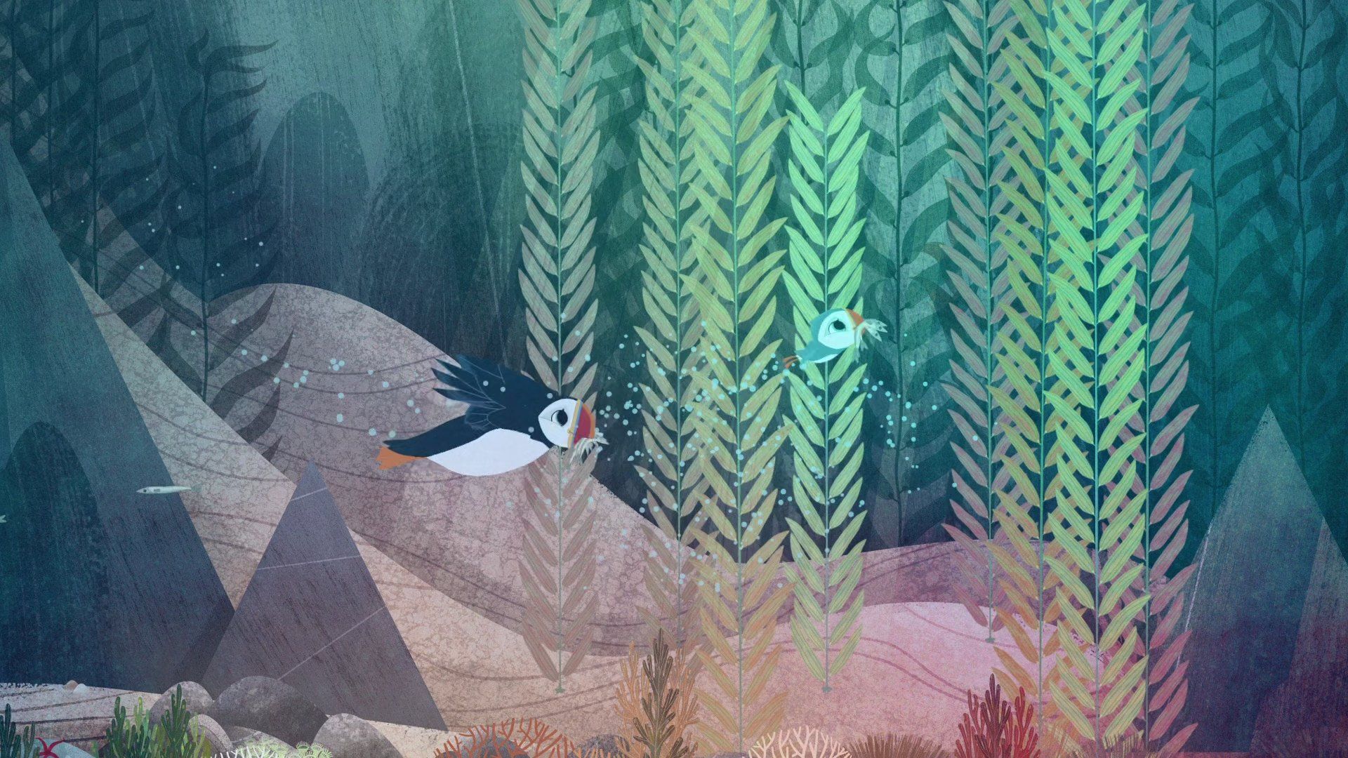 Puffin Rock background
