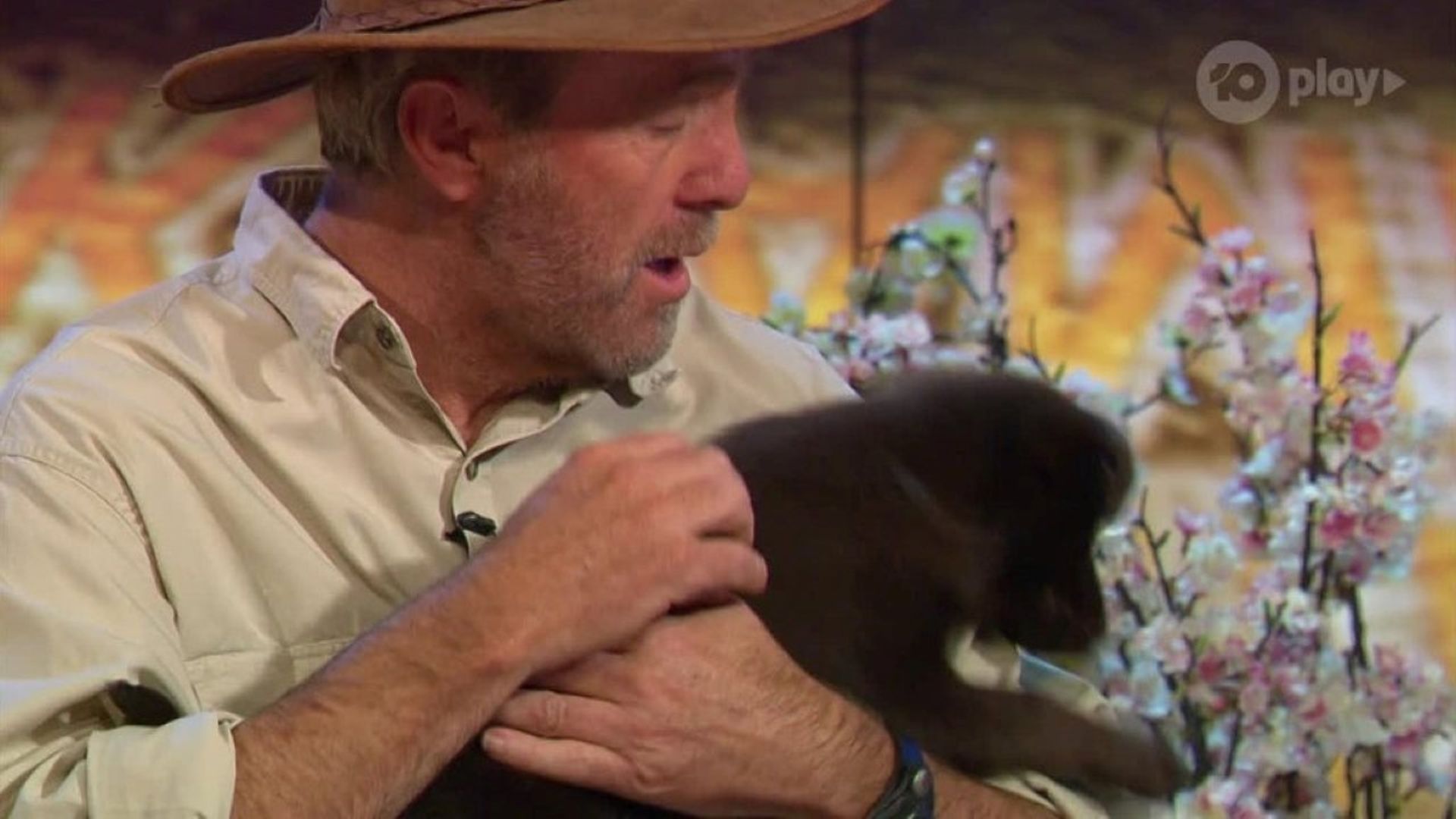 Russell Coight's All Aussie Adventures background