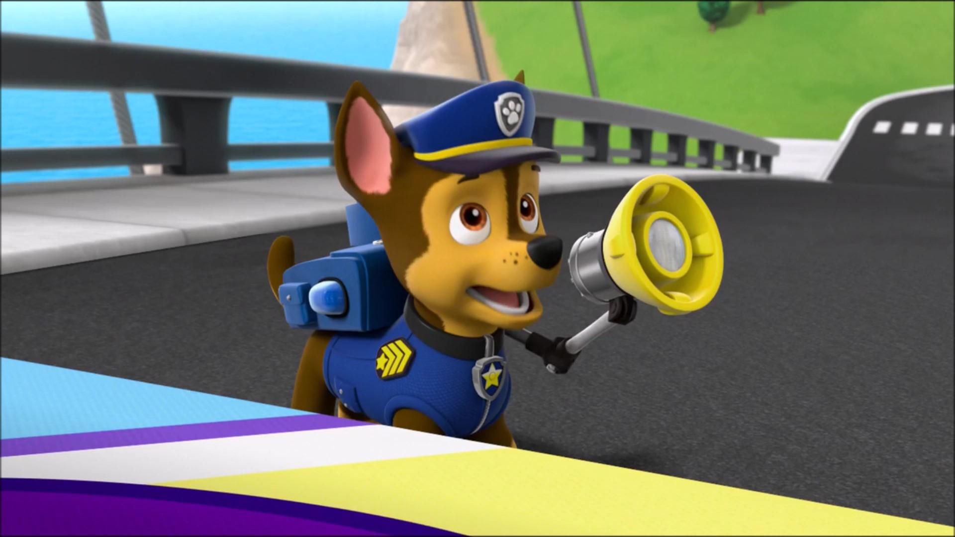 PAW Patrol background