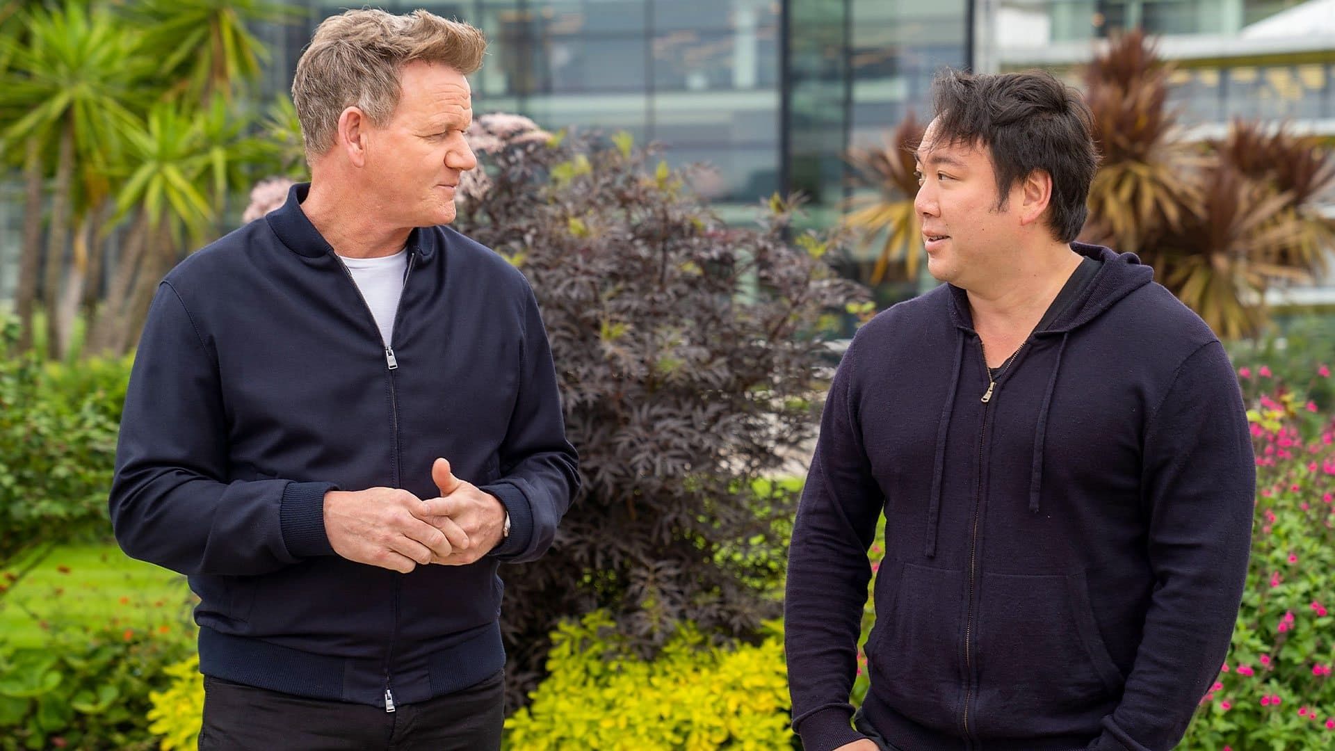Gordon Ramsay's Future Food Stars background