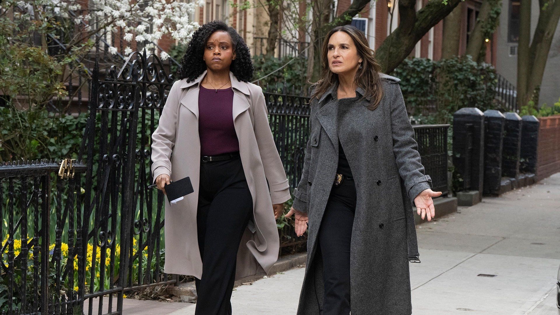 Law & Order: Special Victims Unit background