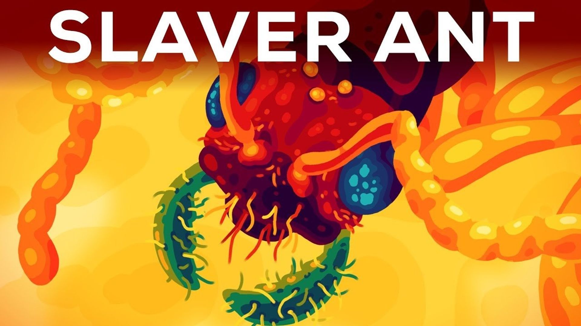 Kurzgesagt: In a Nutshell background