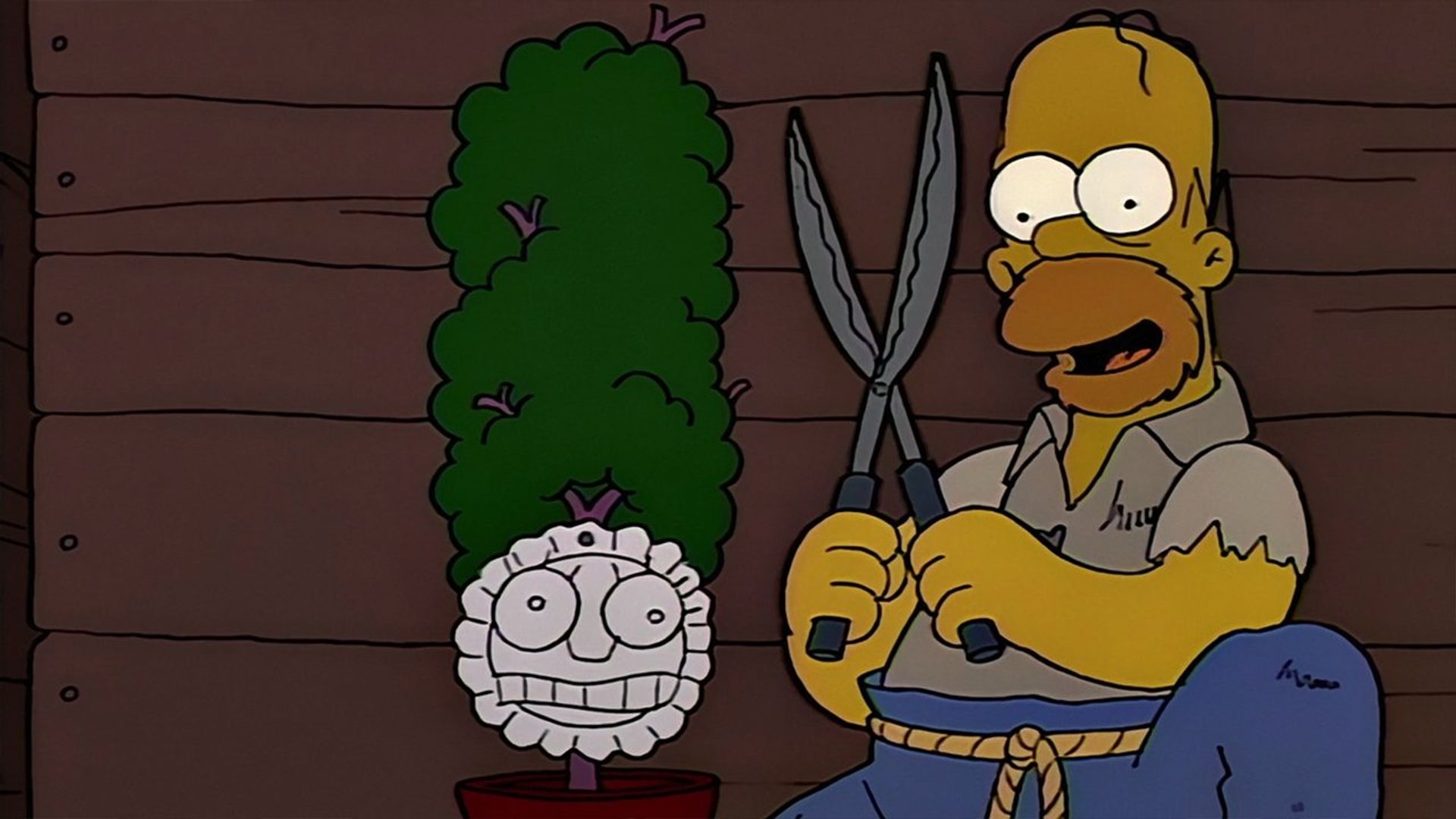 The Simpsons background