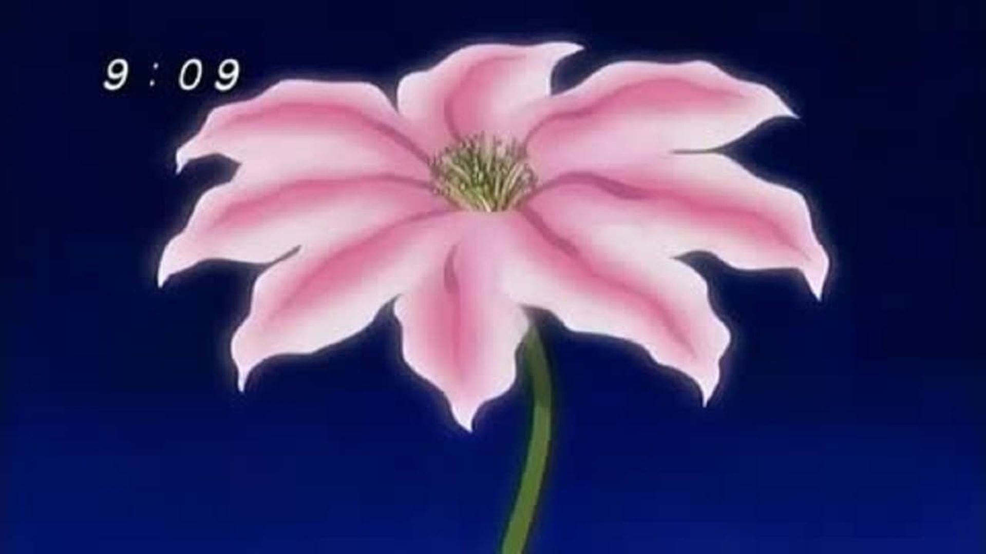 Zatch Bell! background