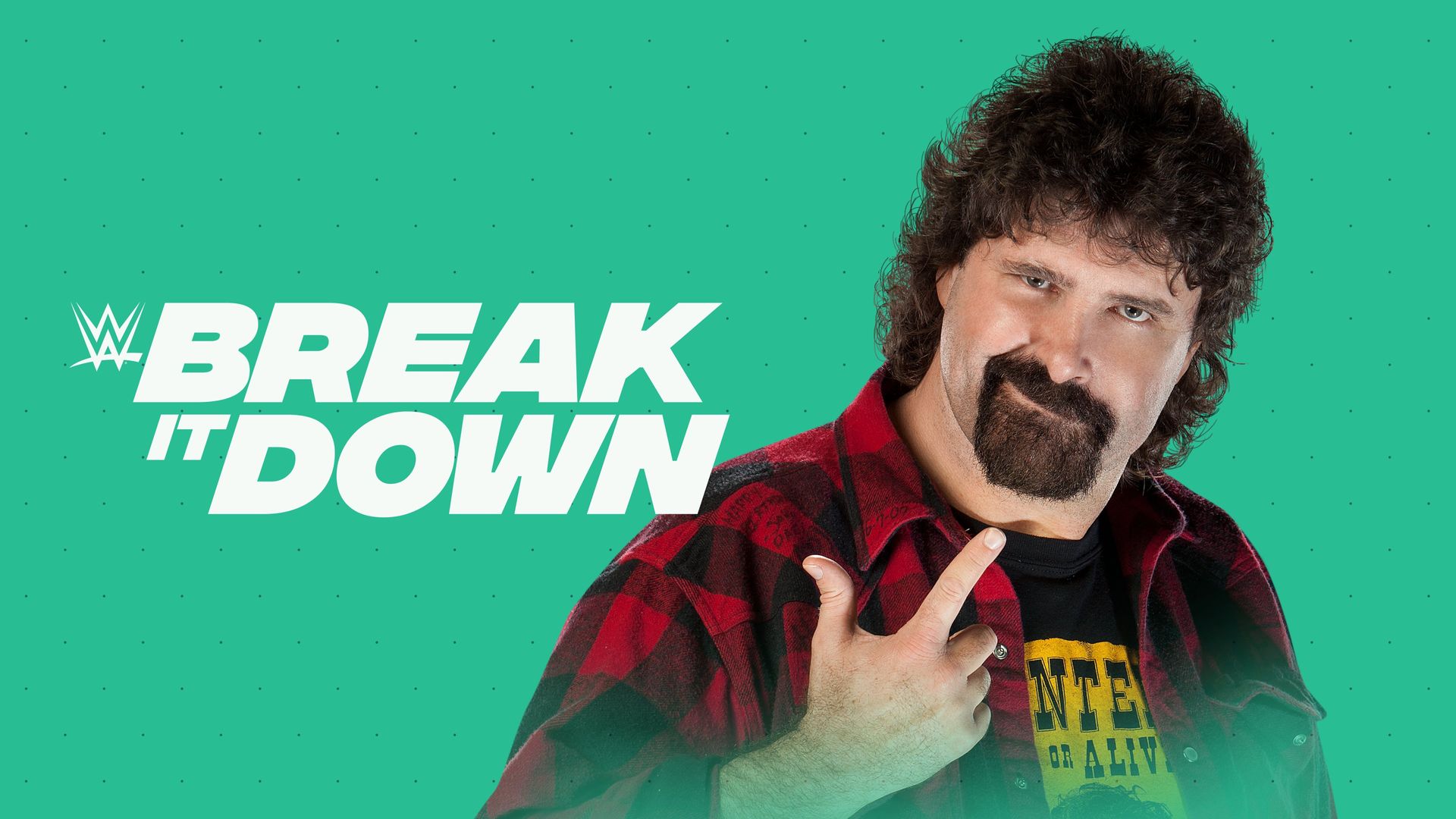 WWE Break It Down background