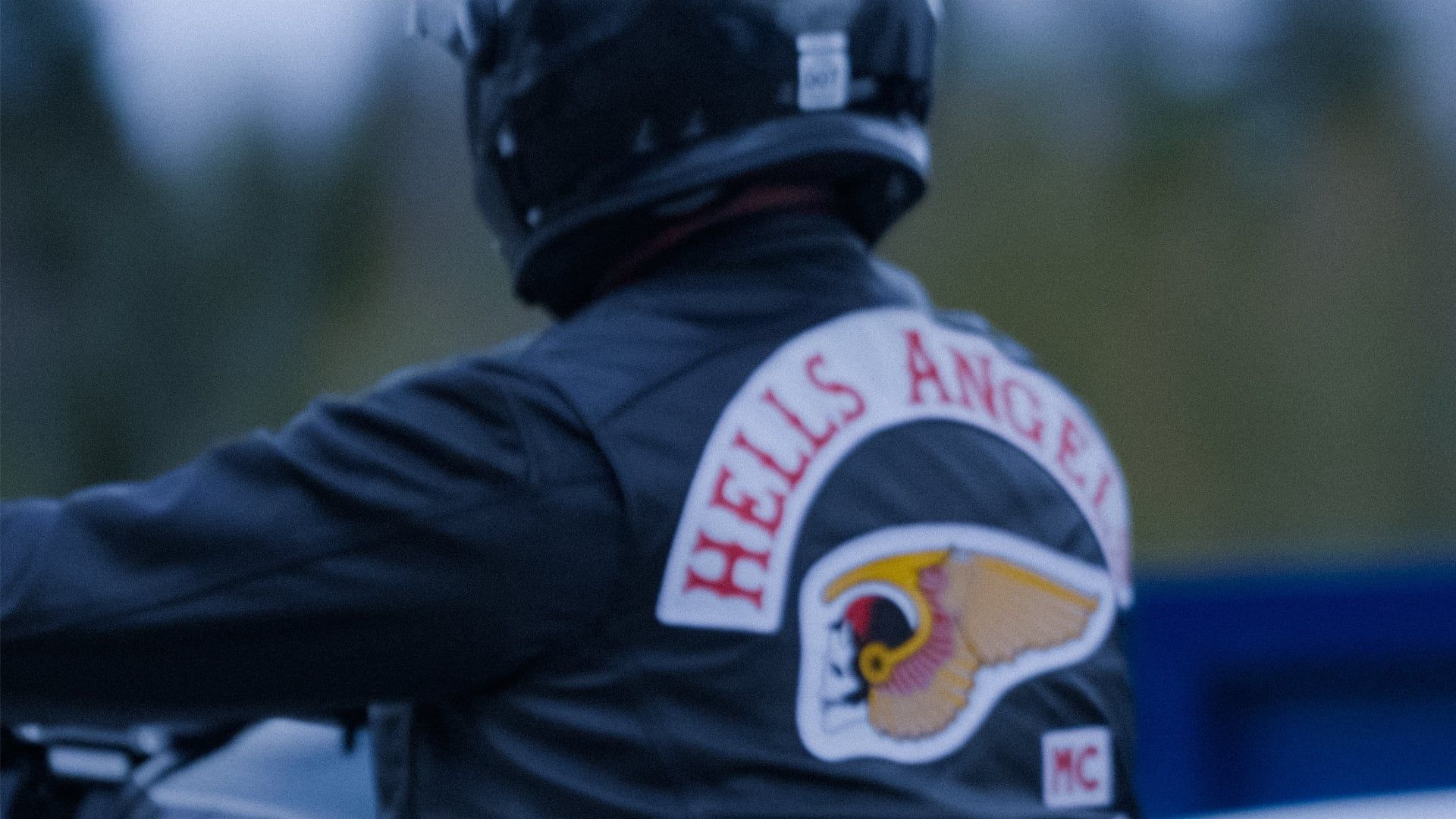Hells Angels: Kingdom Come background