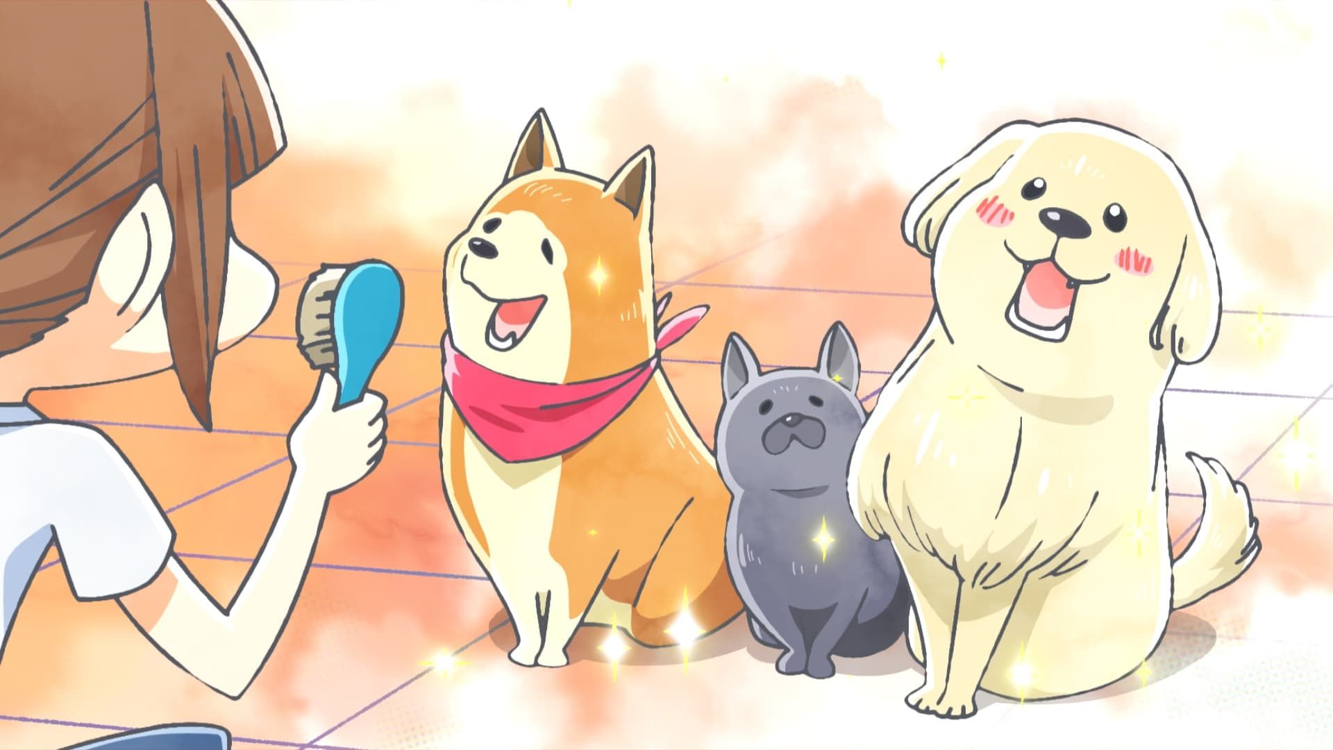 Inu to Neko Docchi mo Katteru to Mainichi Tanoshii background