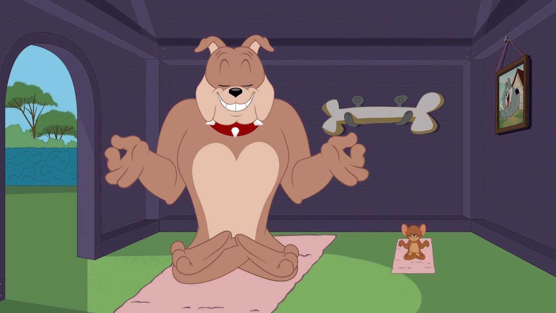 The Tom and Jerry Show background