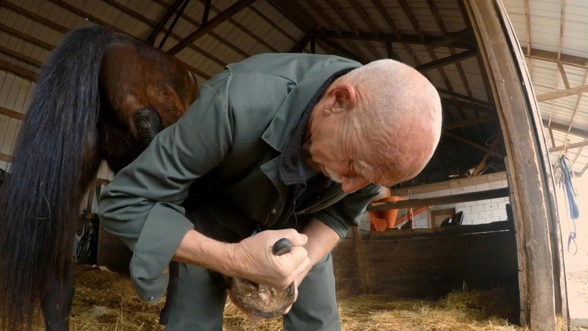 The Incredible Dr. Pol background