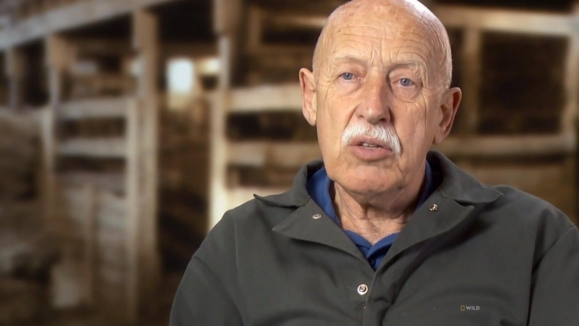 The Incredible Dr. Pol background