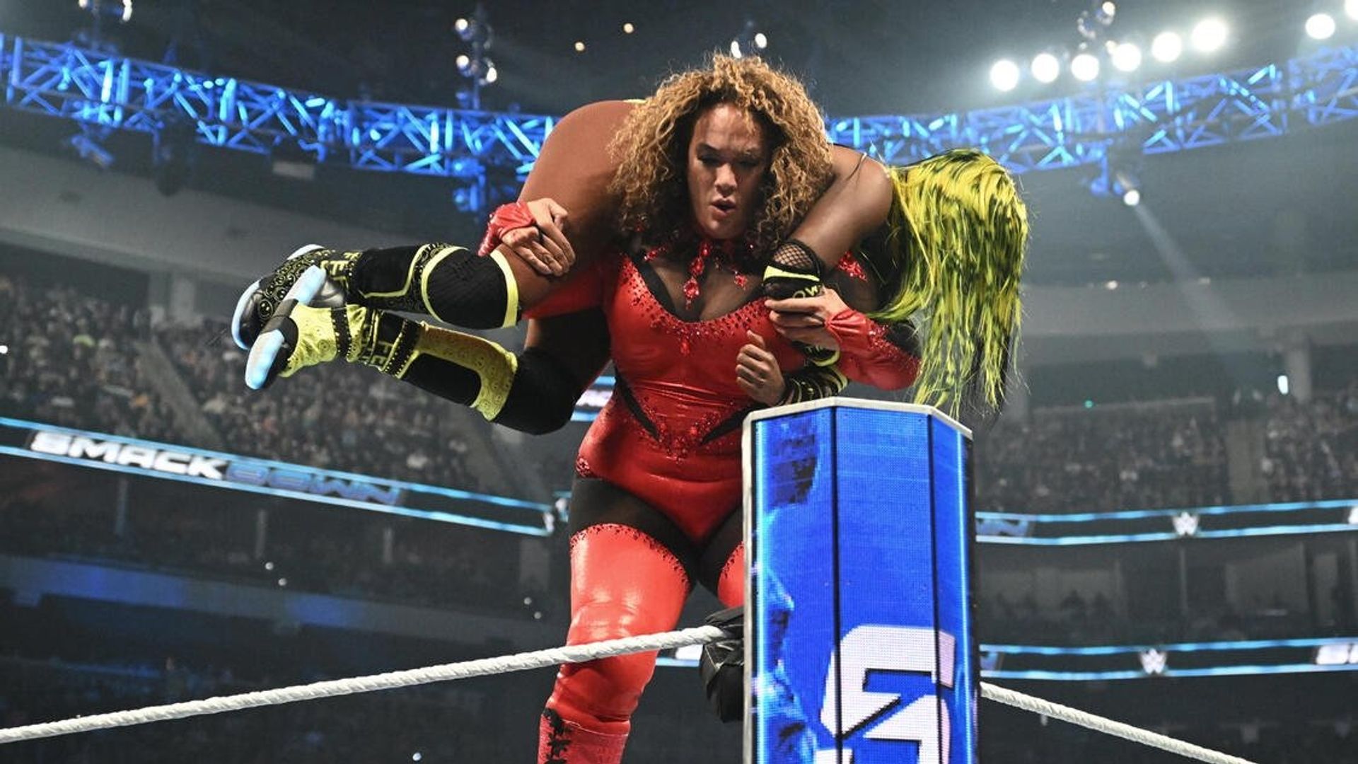 World Wrestling Federation Smackdown! background
