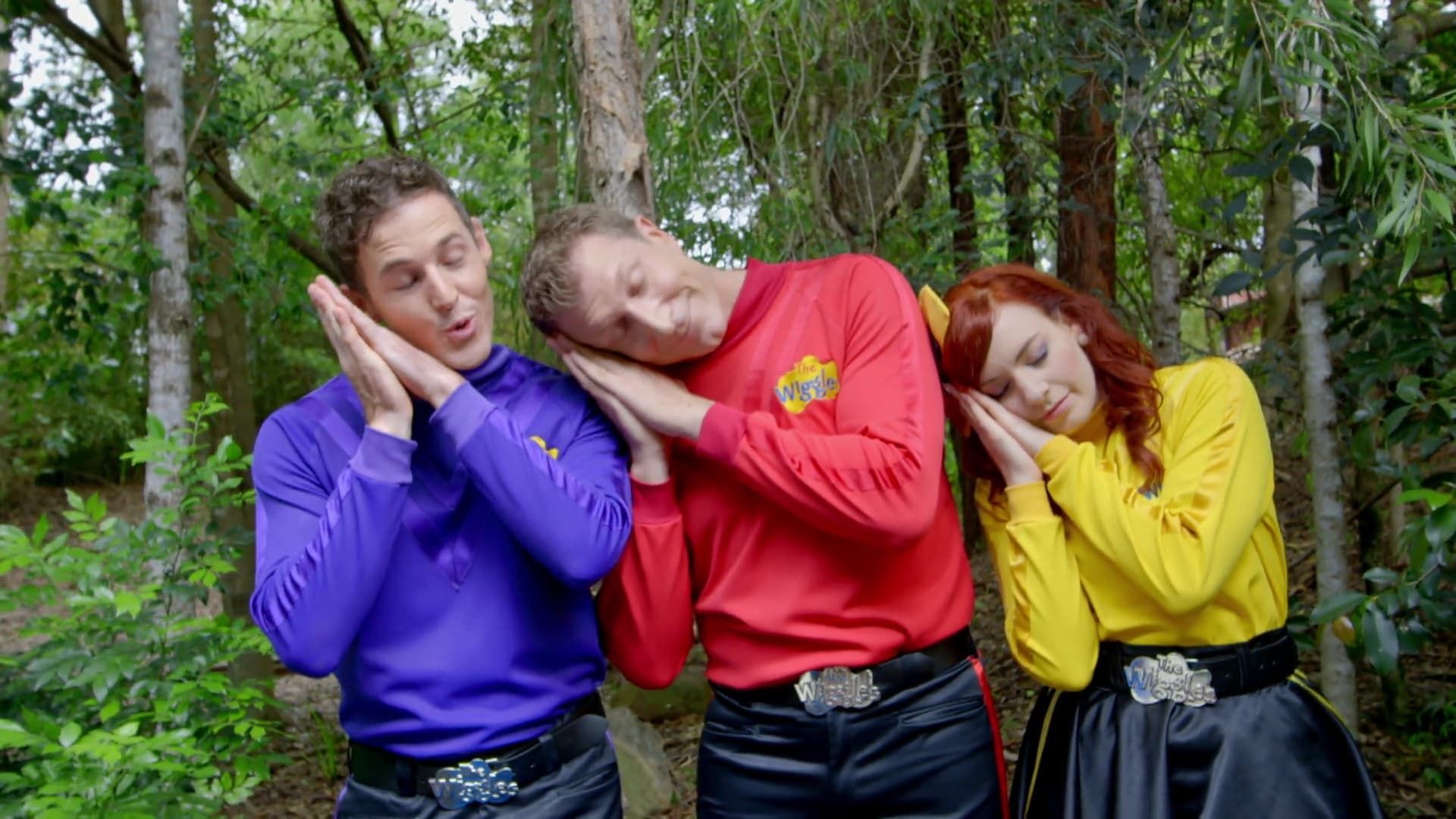 Ready, Steady, Wiggle! background