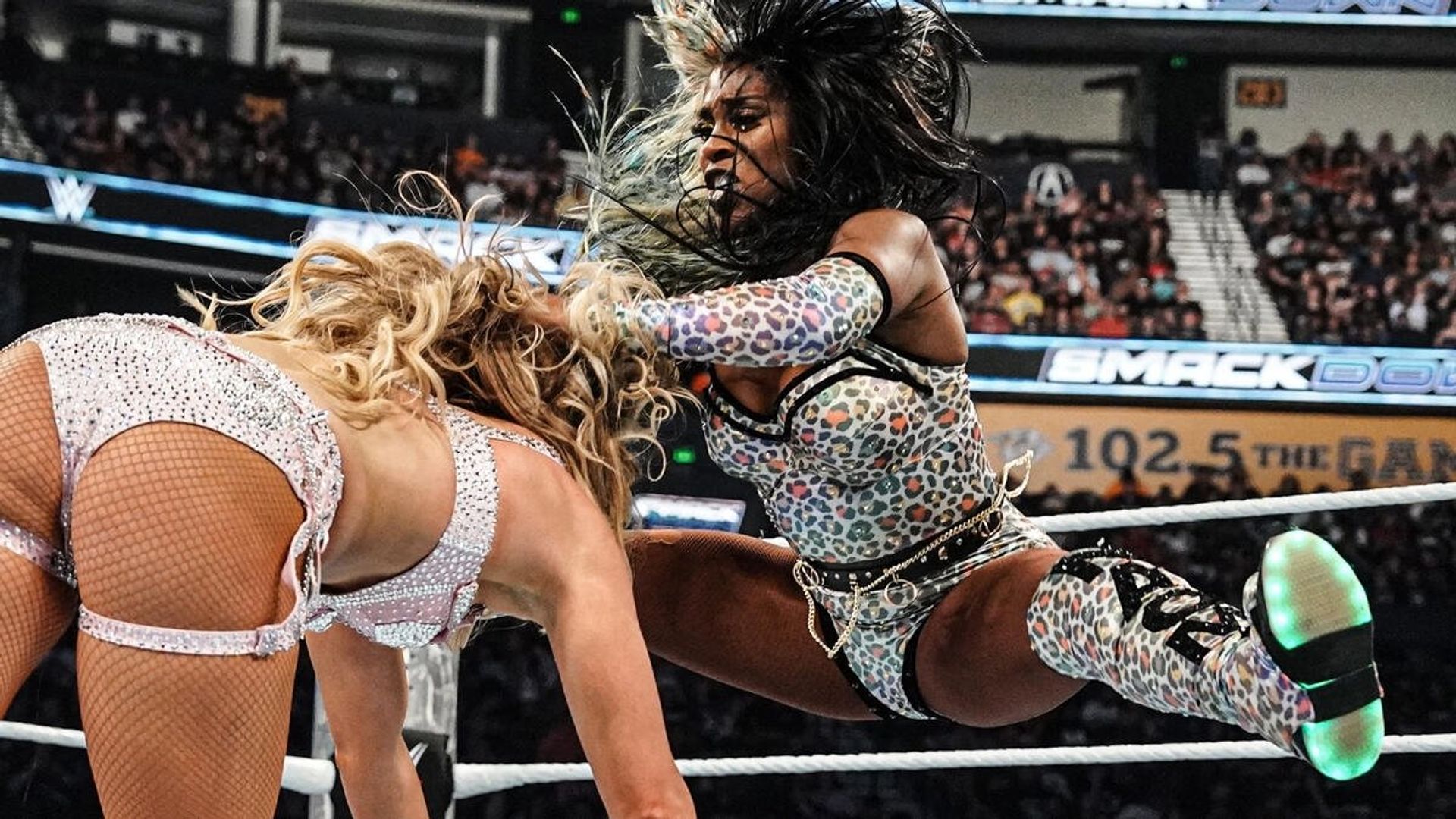 World Wrestling Federation Smackdown! background