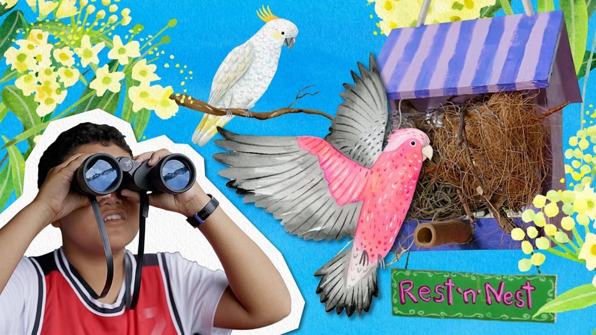 Gardening Australia Junior background