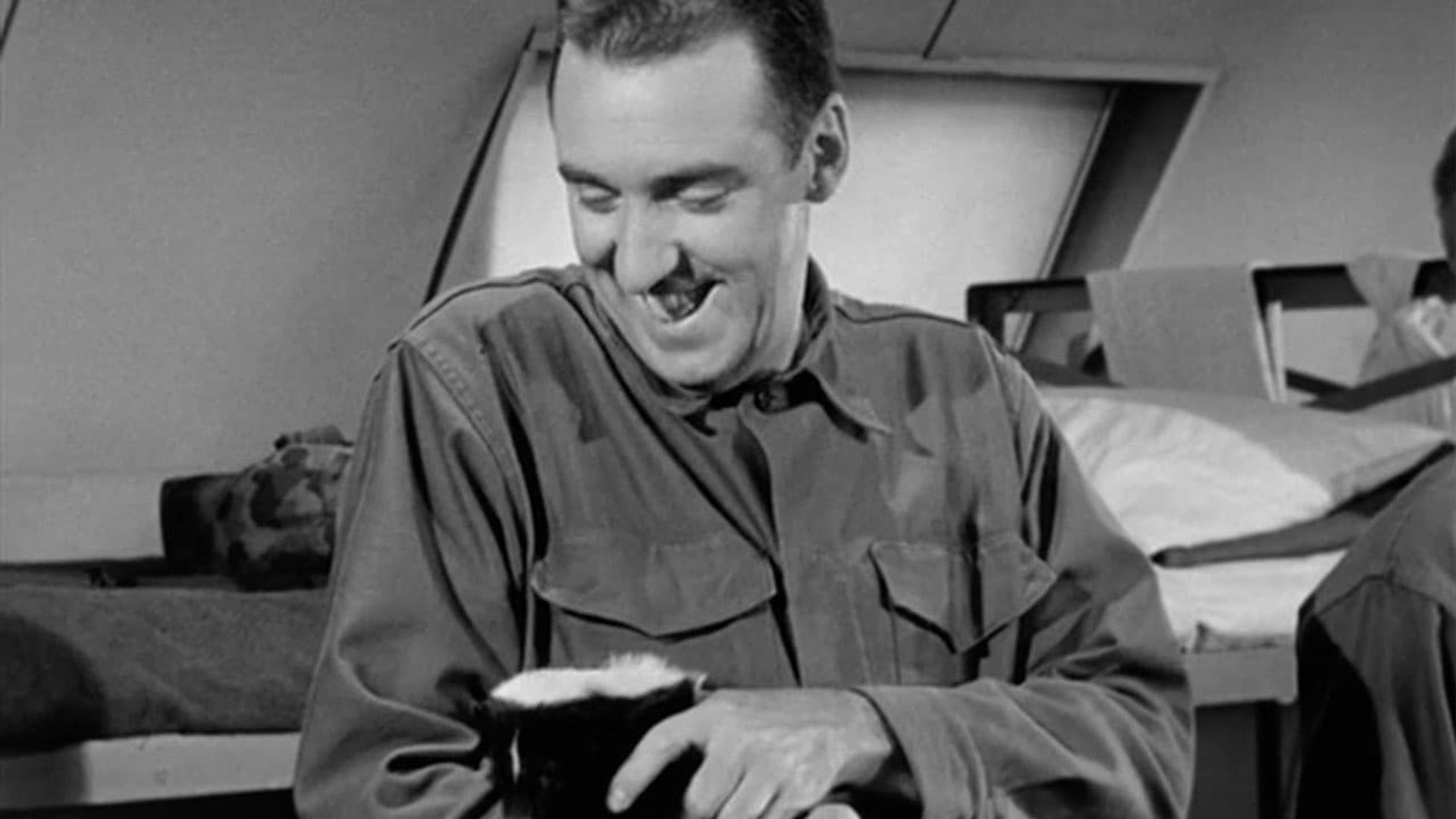 Gomer Pyle: USMC background