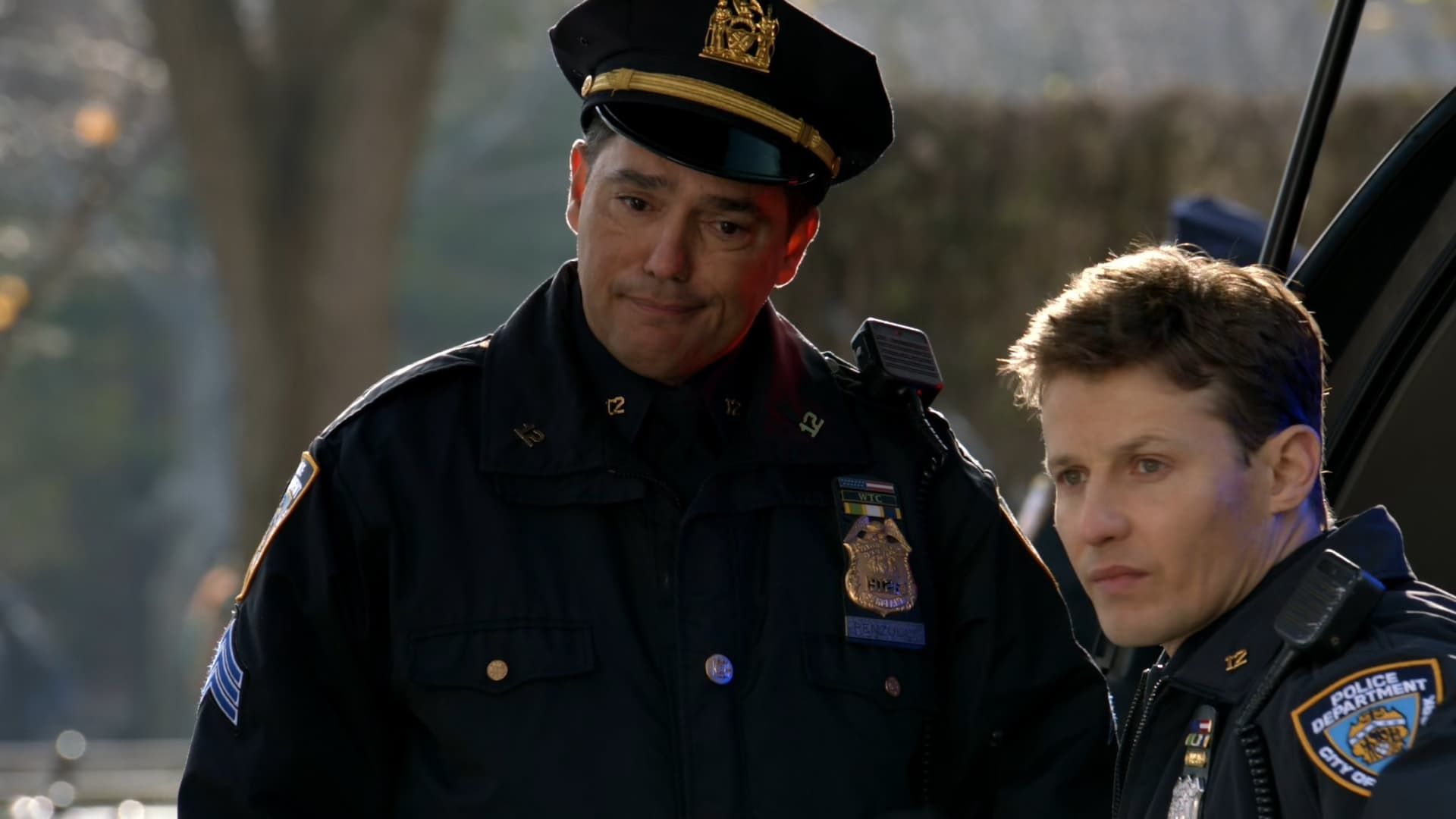 Blue Bloods background