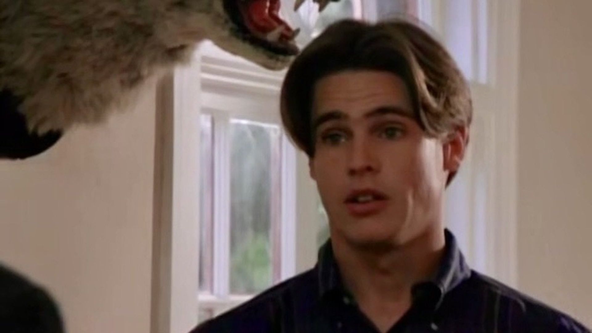 Silk Stalkings background