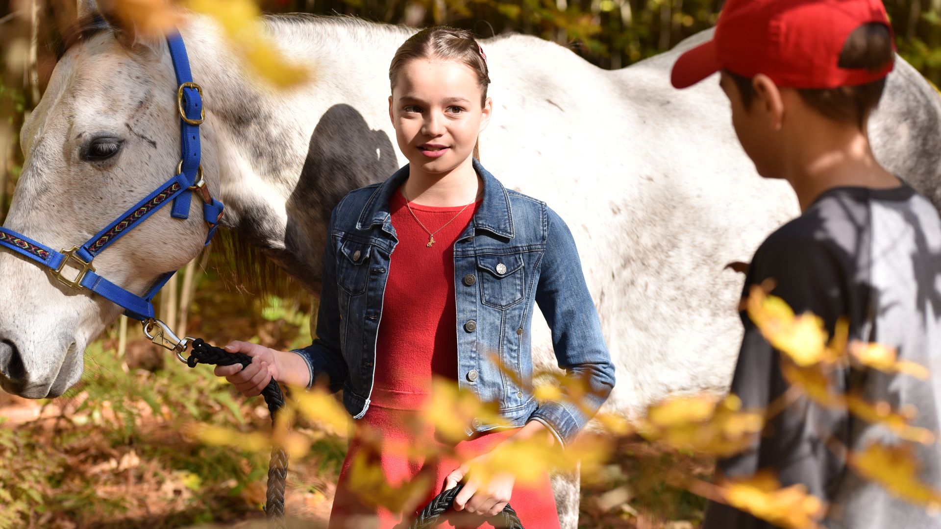 Ponysitters Club background