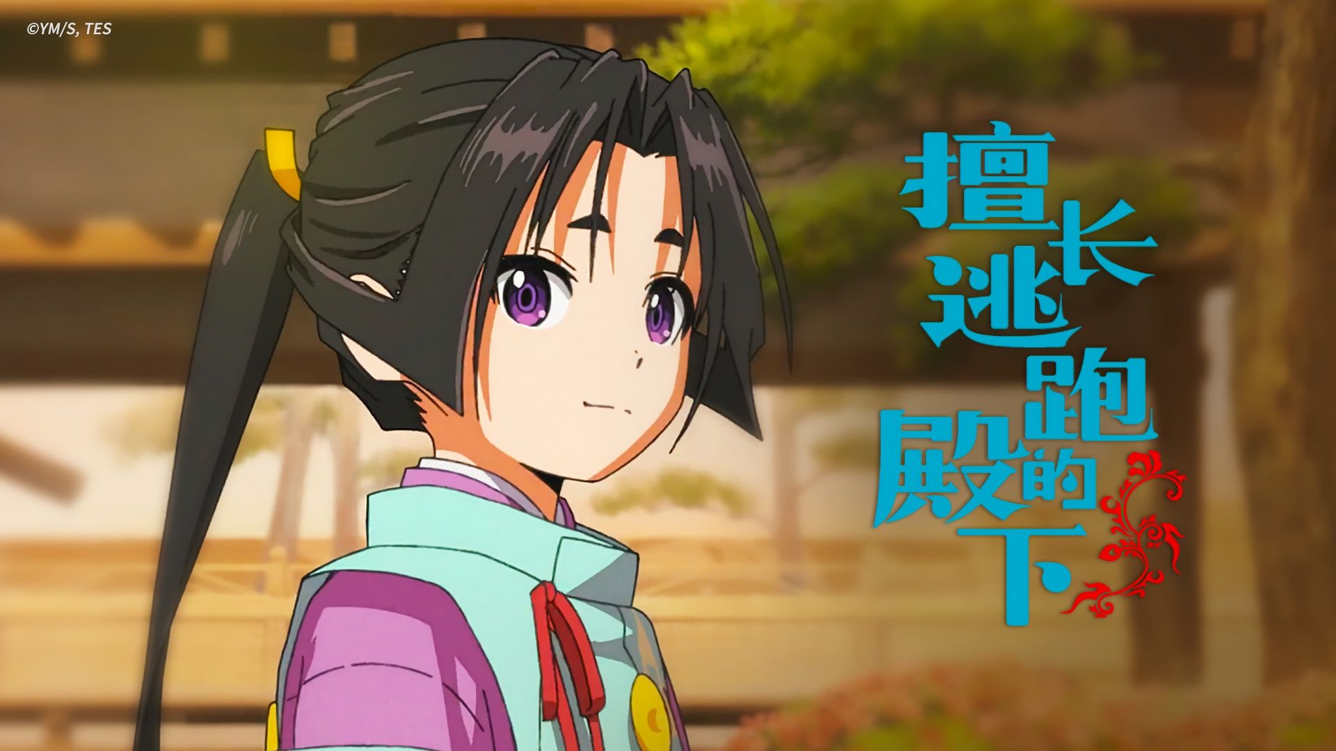 The Elusive Samurai background
