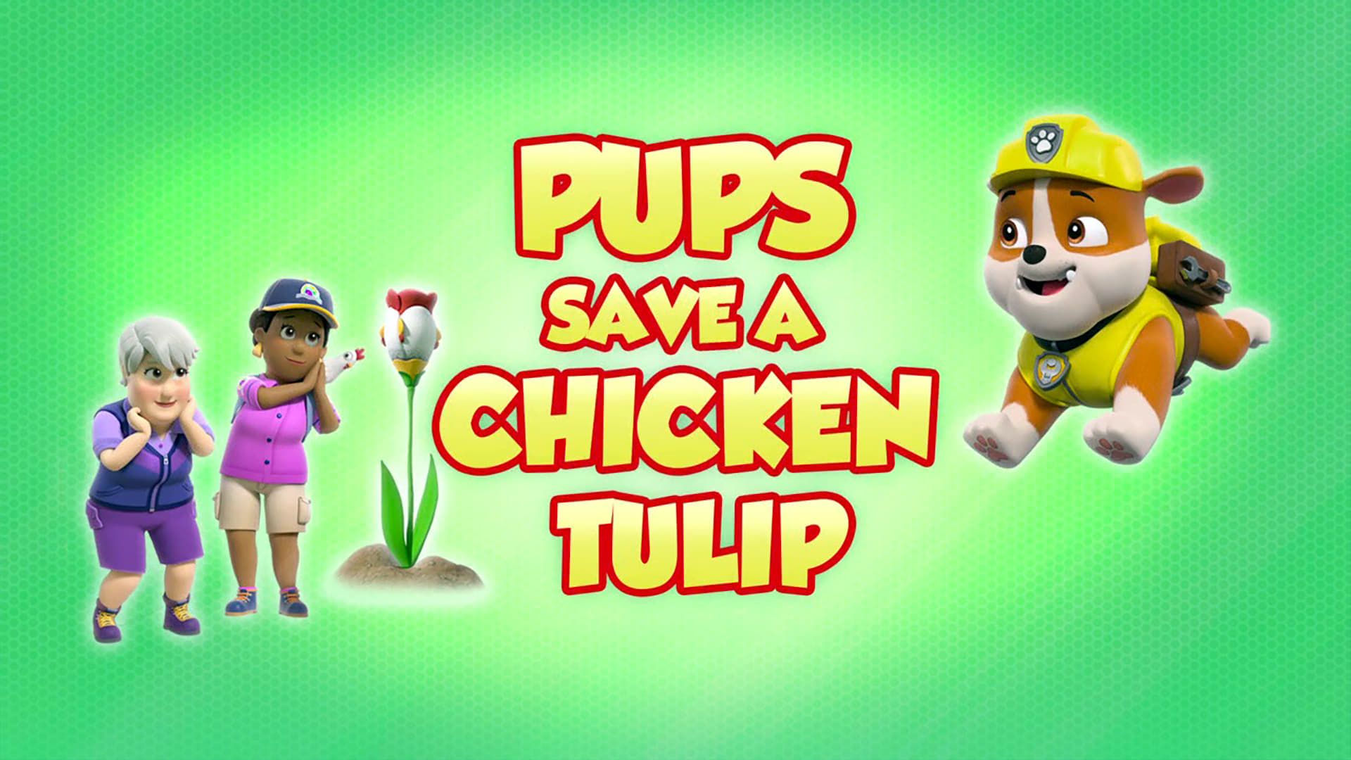 PAW Patrol background