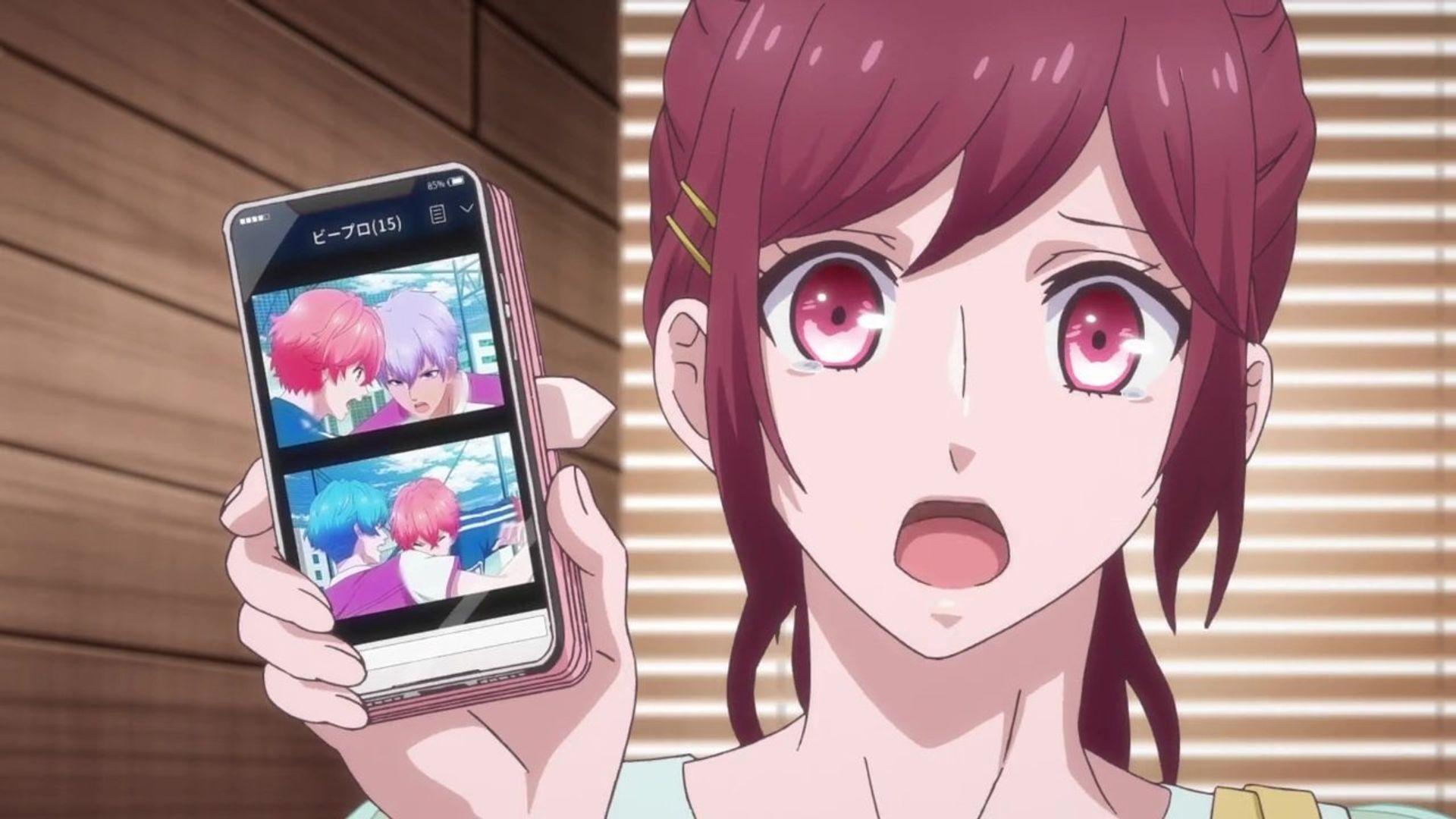B-Project background