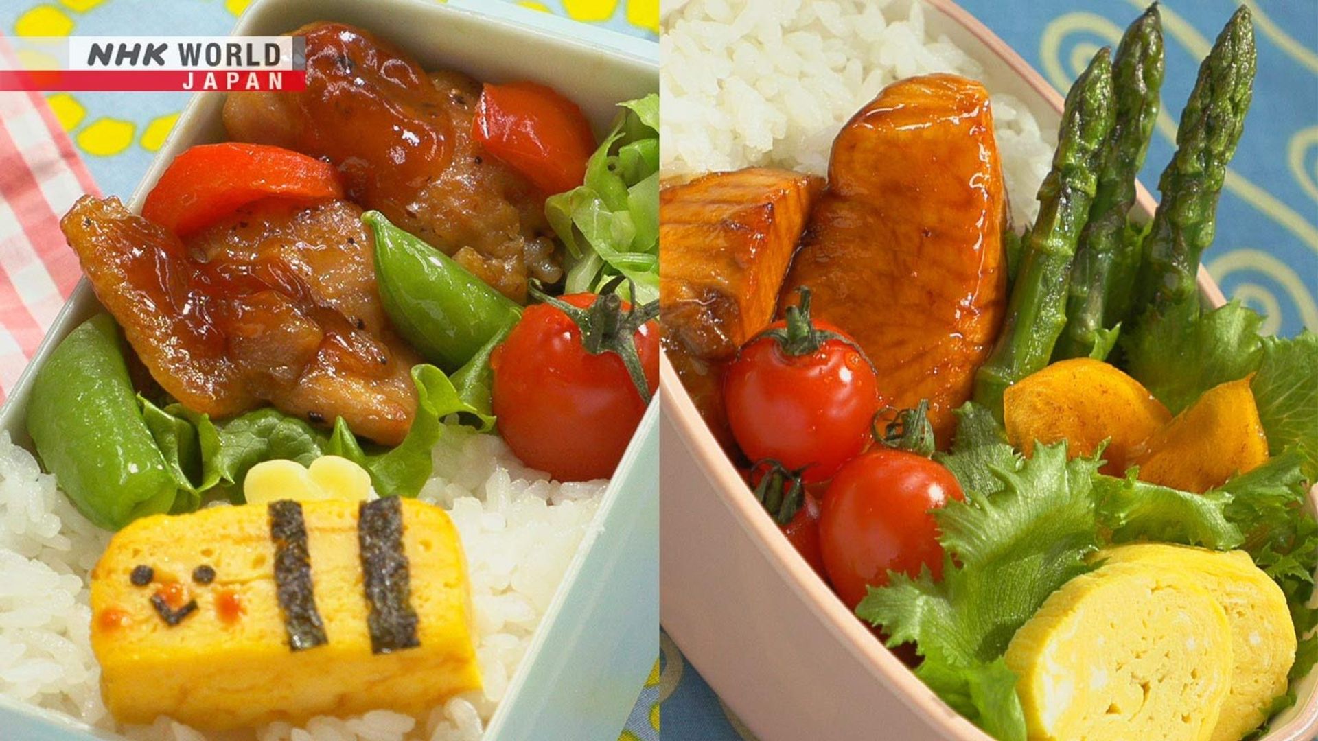 Bento Expo: The Global Lunchbox Project background