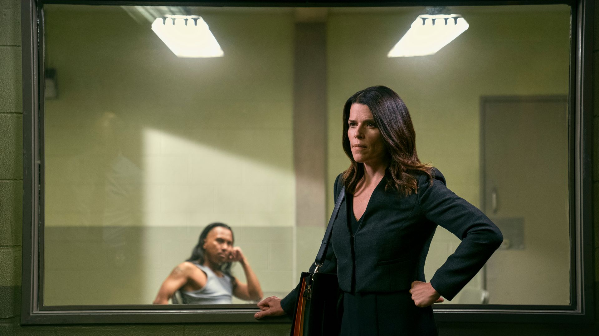 The Lincoln Lawyer background