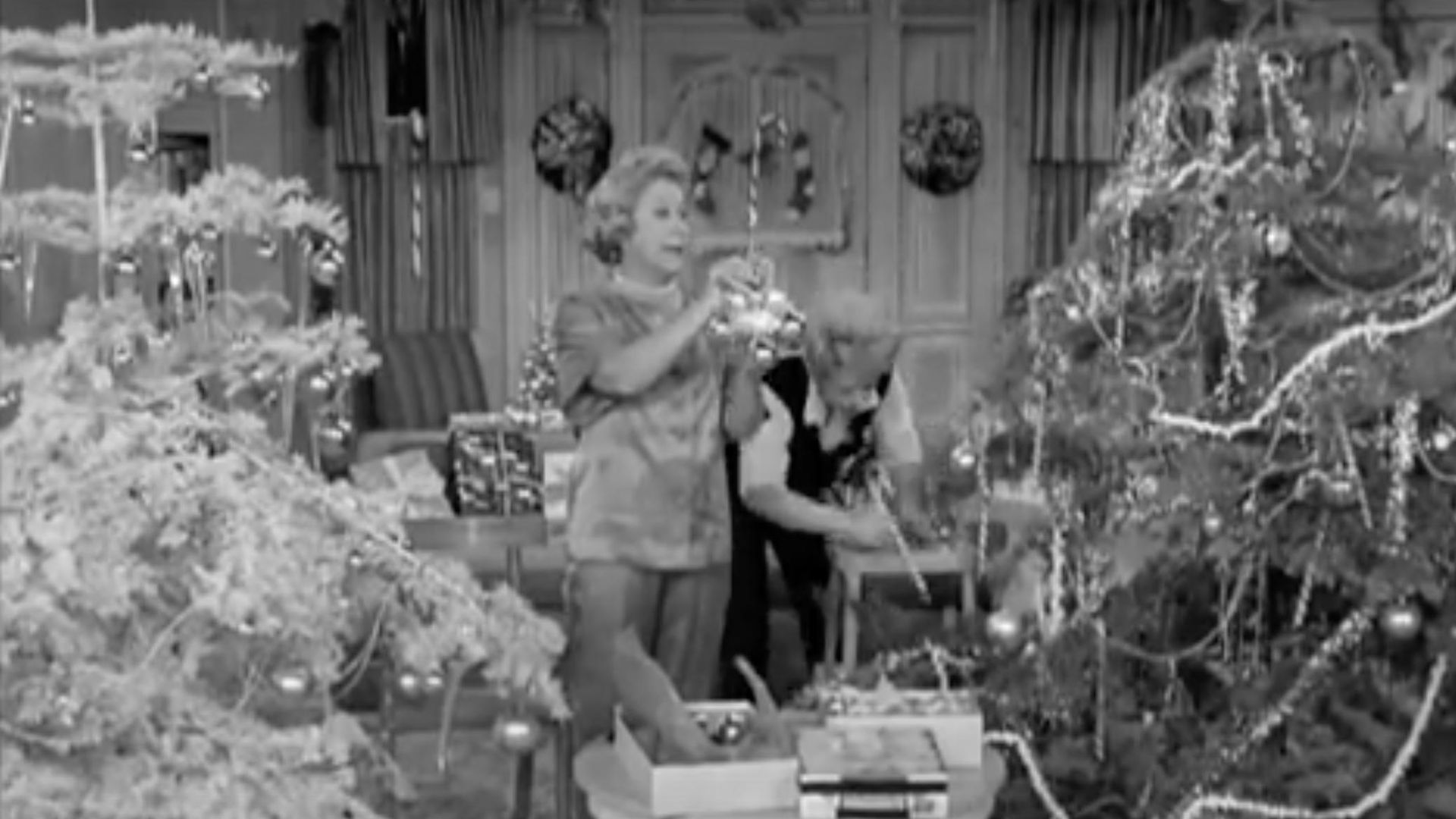 The Lucy Show background