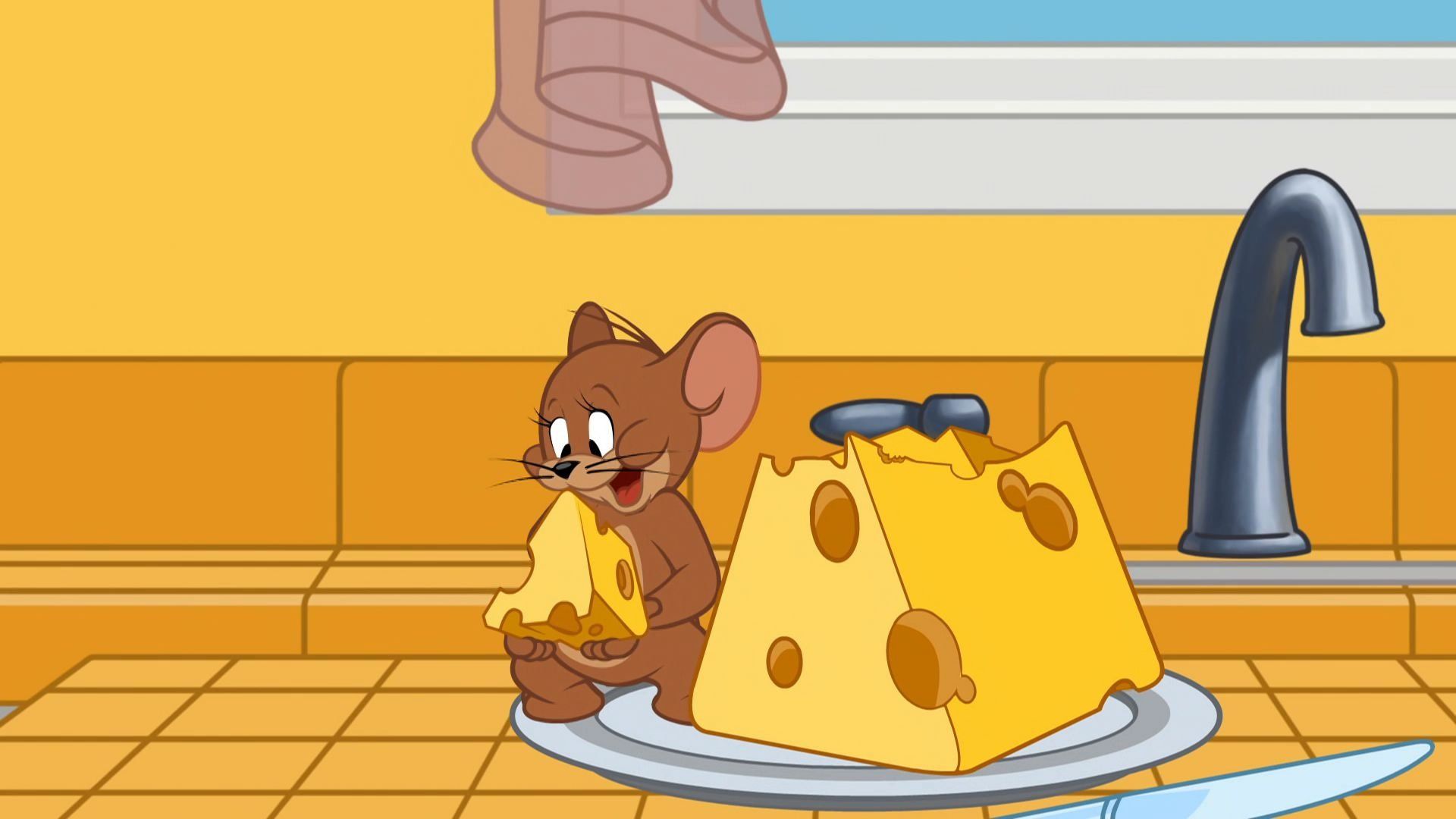 The Tom and Jerry Show background
