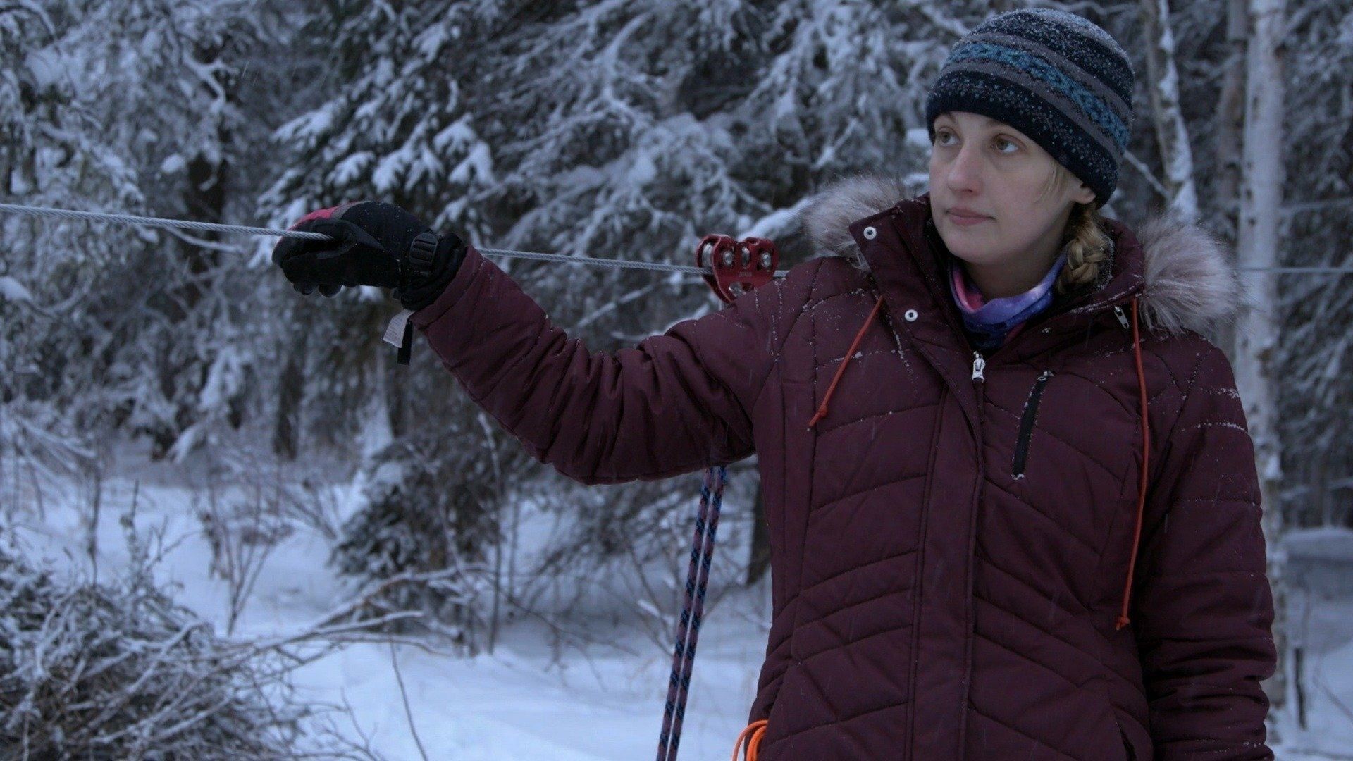 Life Below Zero: Next Generation background