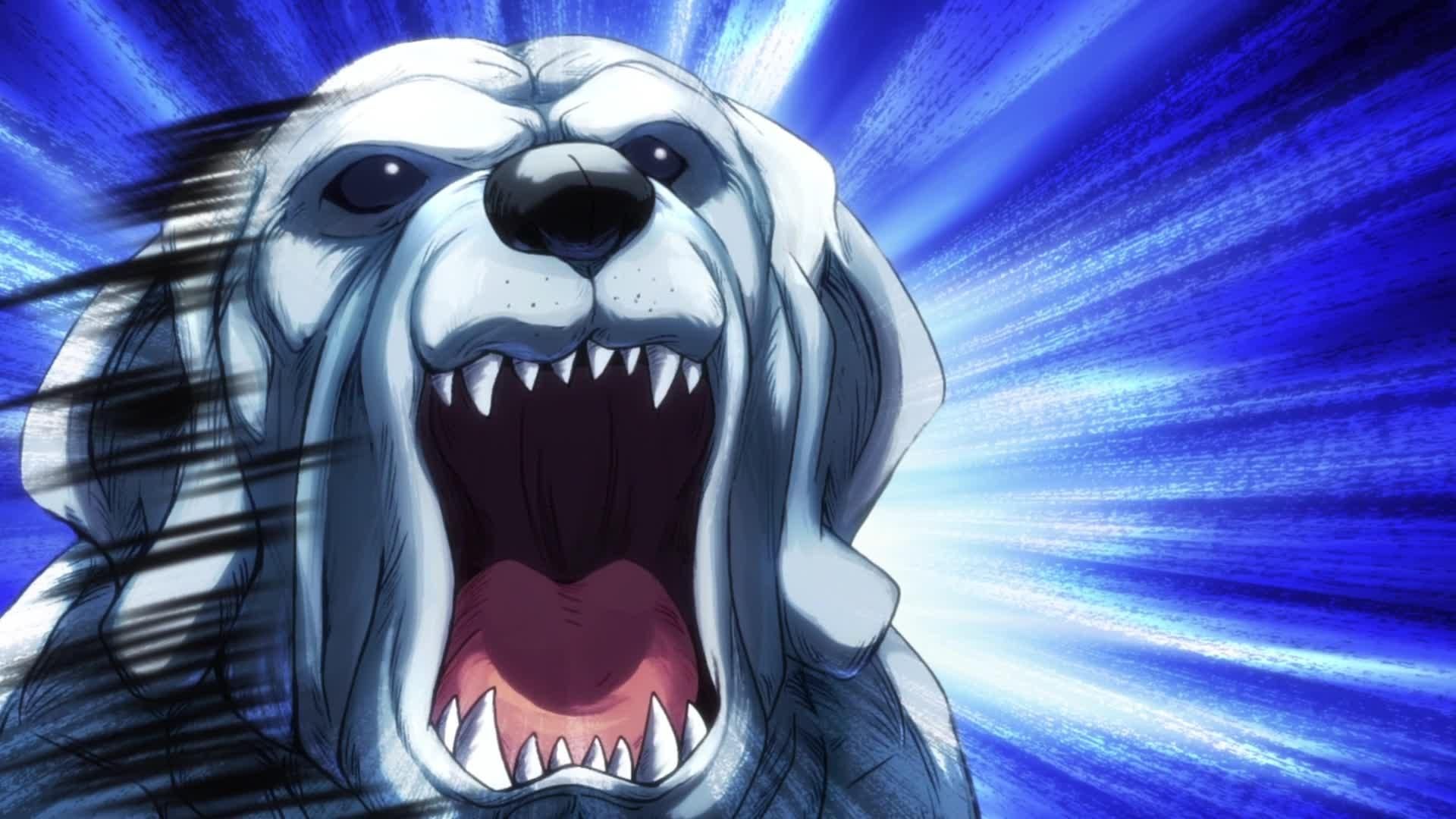 Digimon Universe: App Monsters background