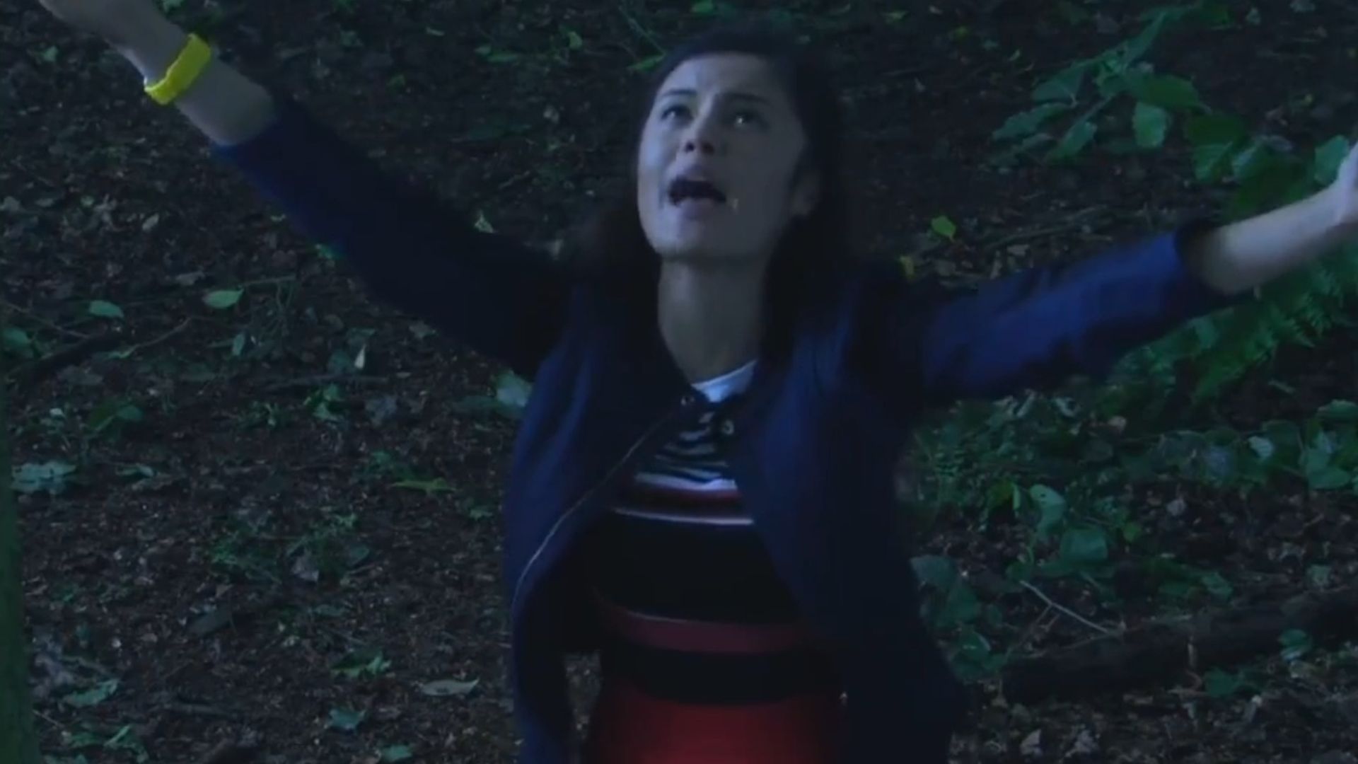 Evermoor background